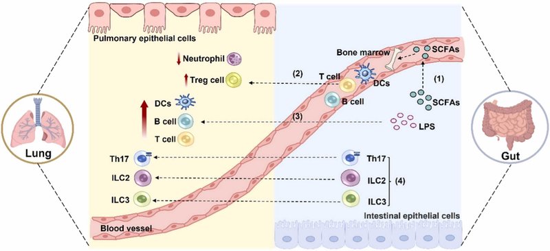 断続的な断食で糖尿病を改善できるか?