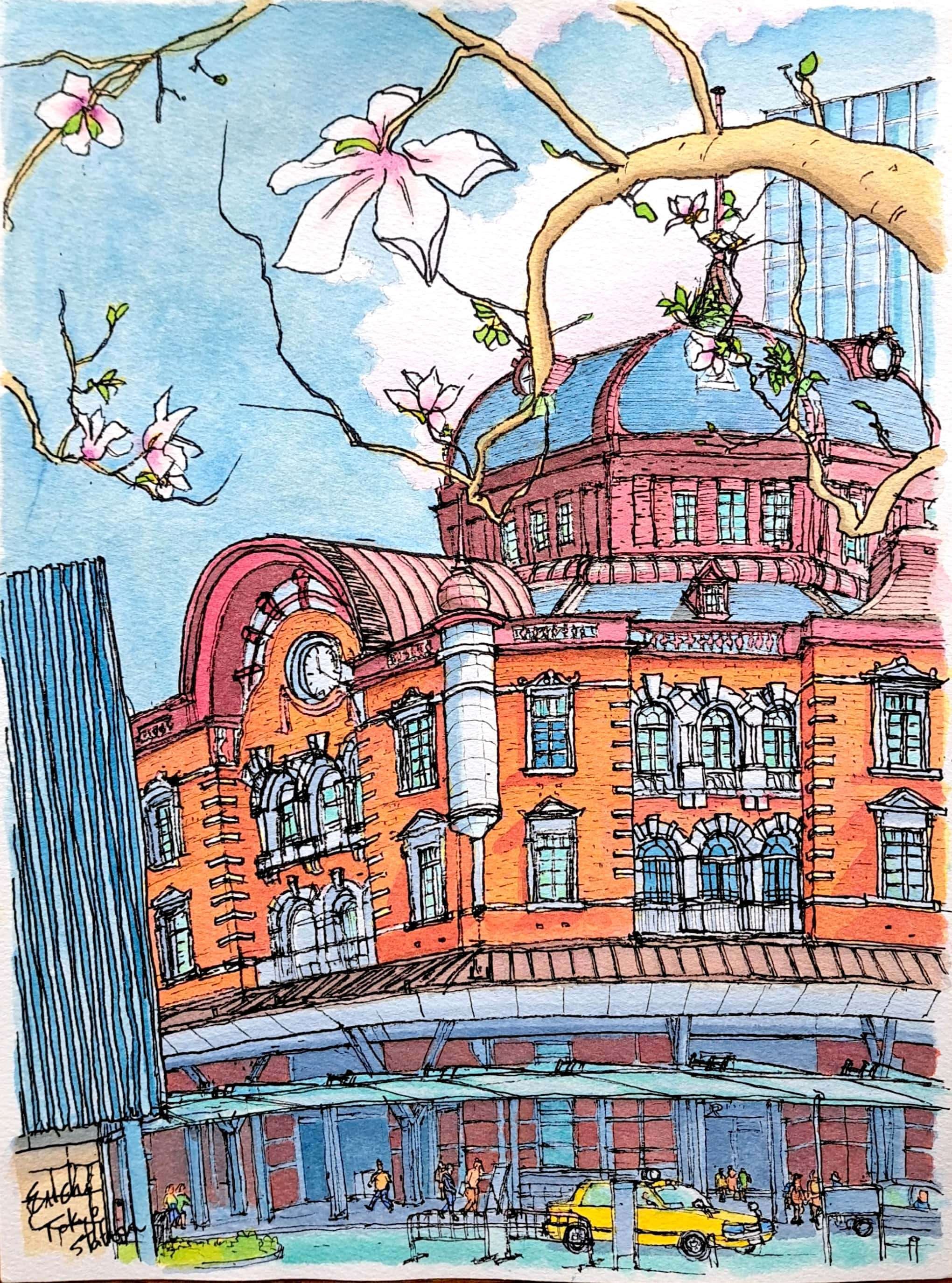 私のスケッチポイント／作品紹介あれこれ＞東京駅とこぶしの花、一ツ橋