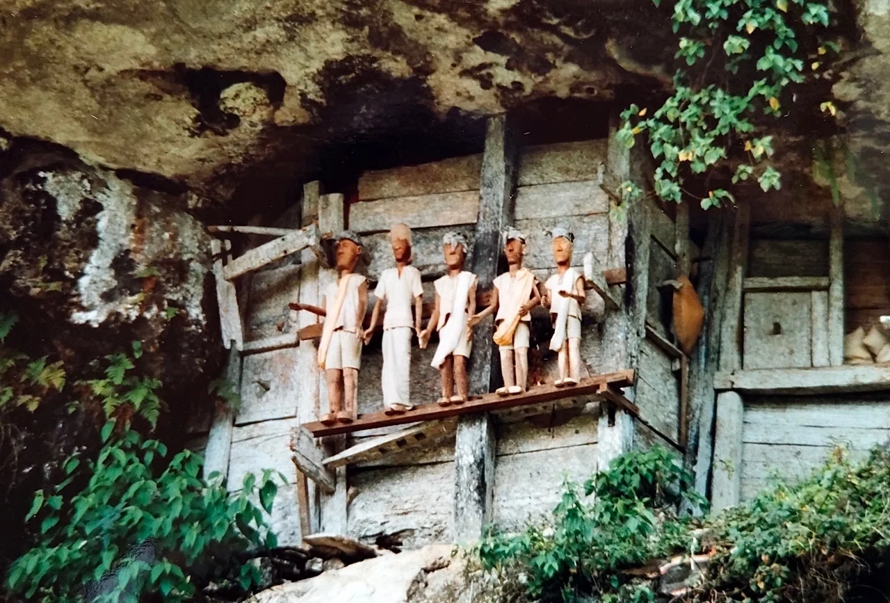 アジア紀行～インドネシア・タナトラジャ～サバイバル家族旅行note⑨