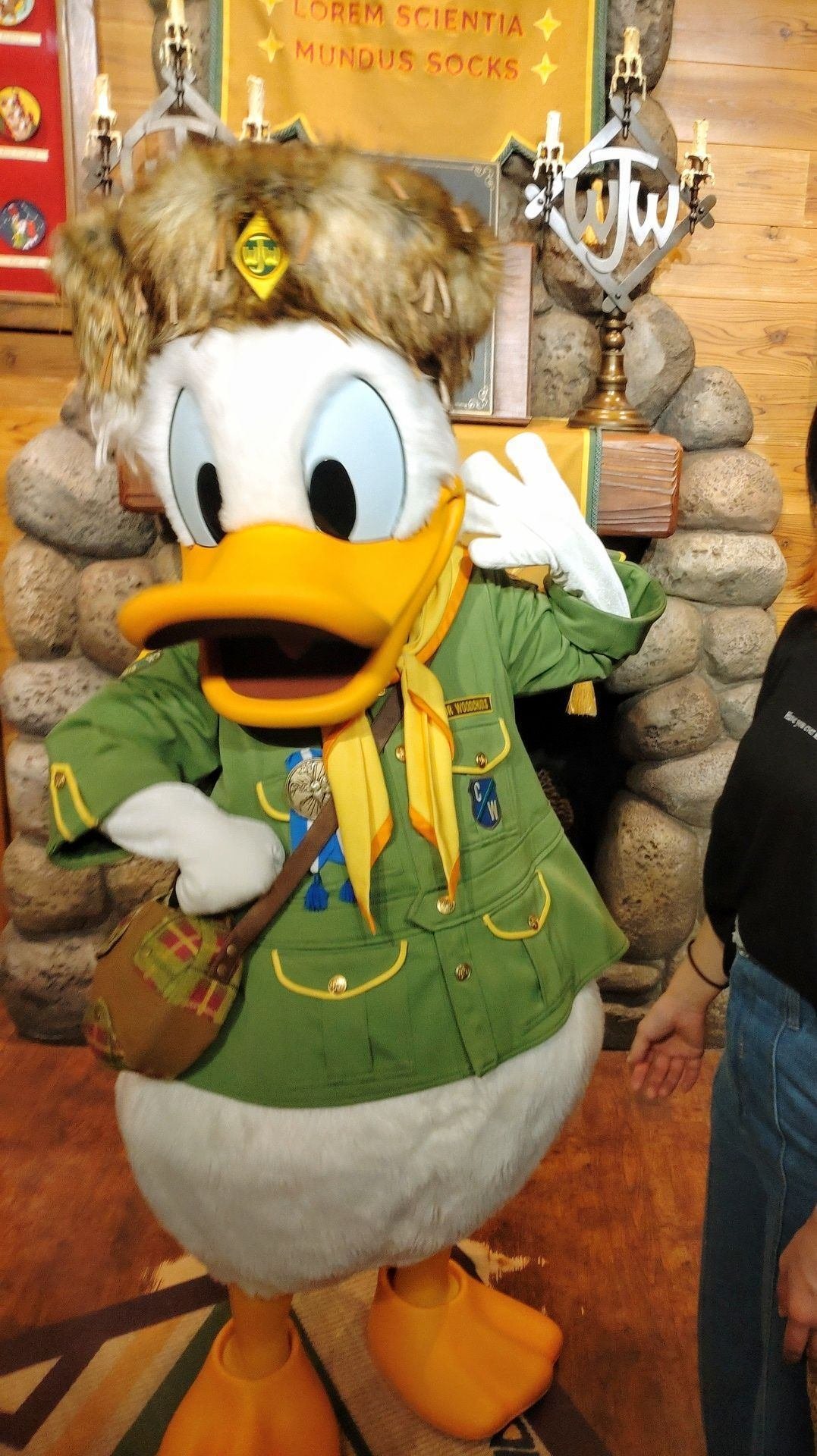 トレイル ミッキー Dハロ 東京ディズニーシー Dハロ①まずは1人でシーへ向かう | あこや