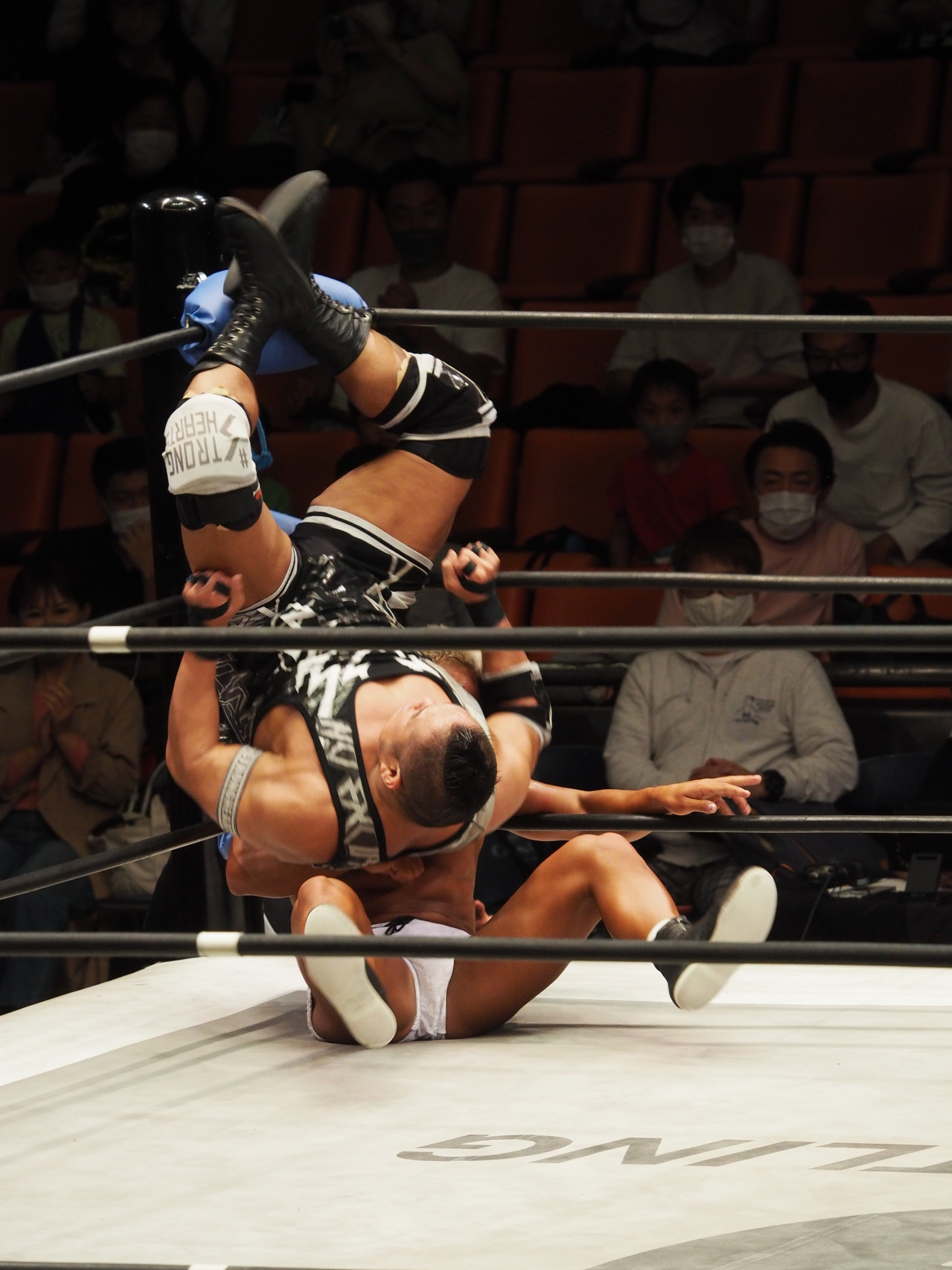 入江茂弘は『歩くディズニーランド』である。｜レンブラント