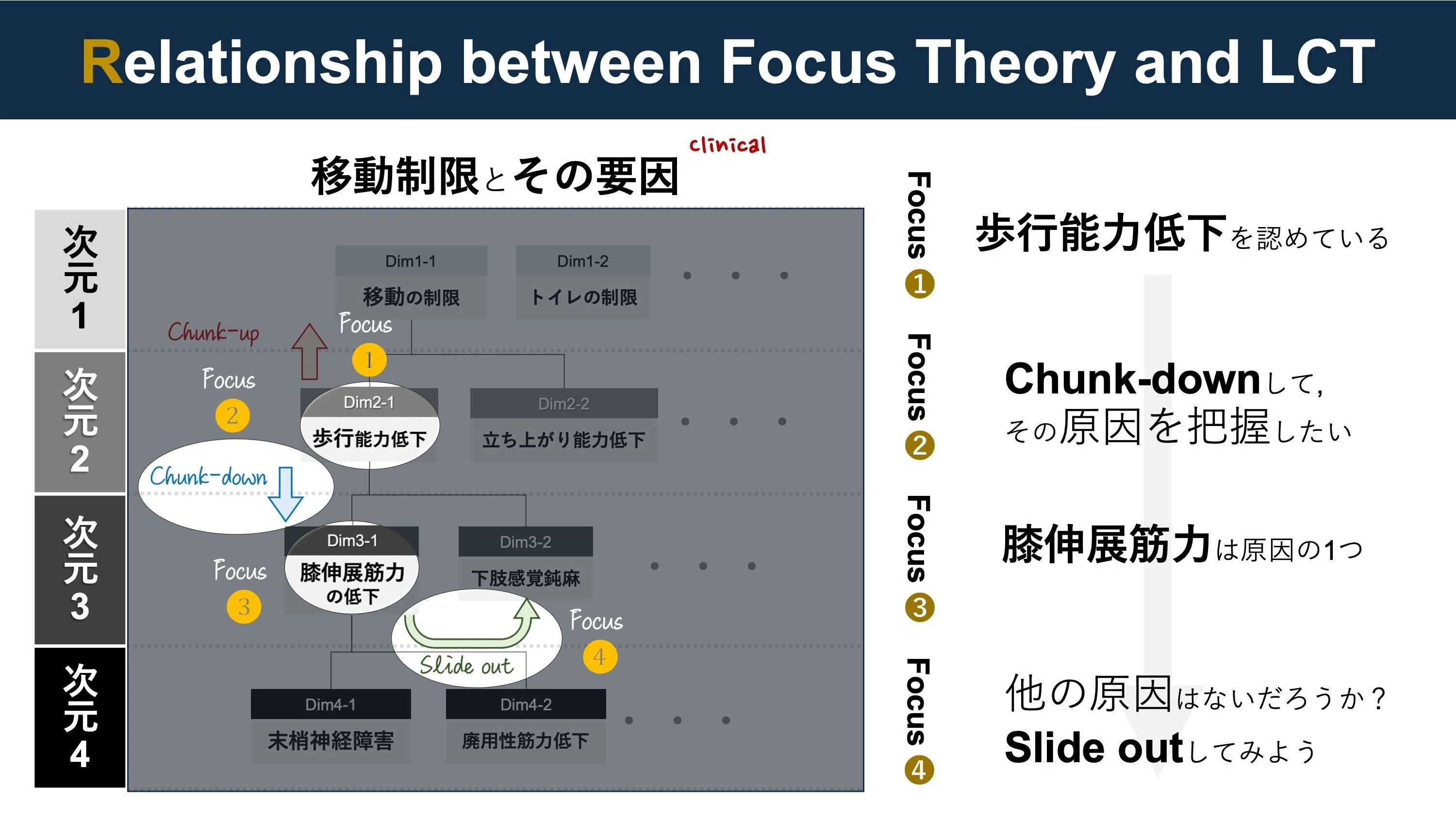 原理原則リスト】#H1. Focus理論｜Super Human | 理学療法士／保健学