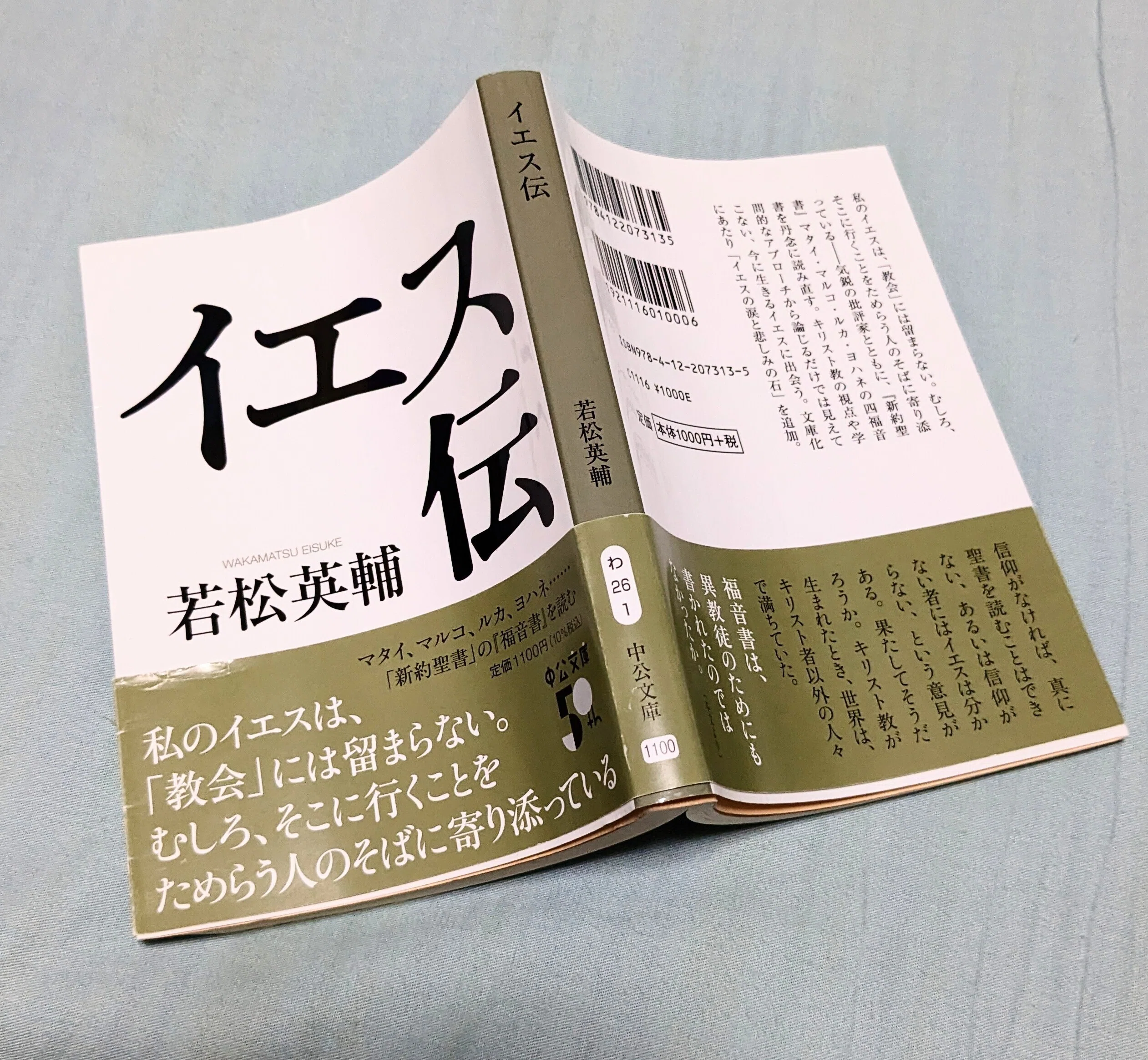 読書日記 若松英輔・著『イエス伝』私は宗教がわからない｜只野成行