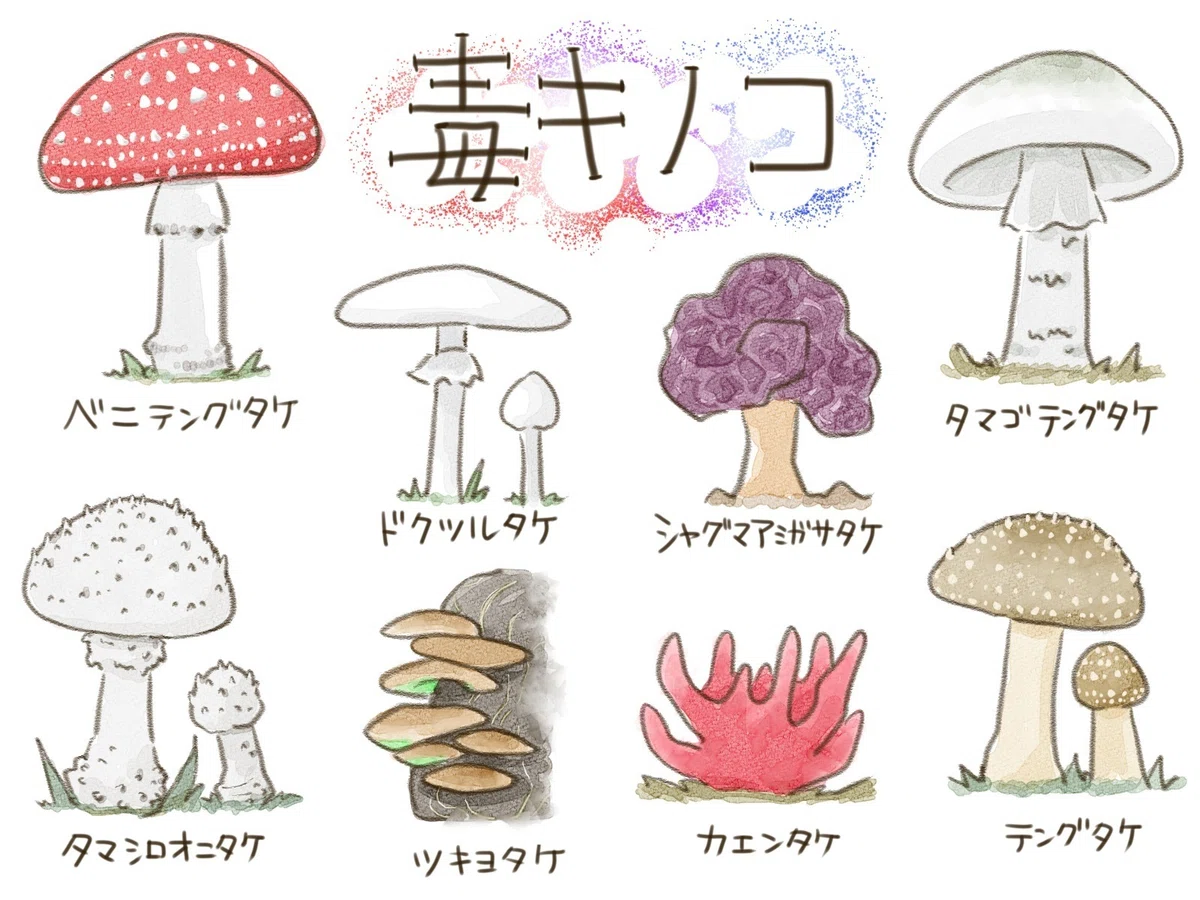 【くらしの東洋医学 鍼灸で元気に】秋の味覚「きのこ」の魅力!|あやかざり