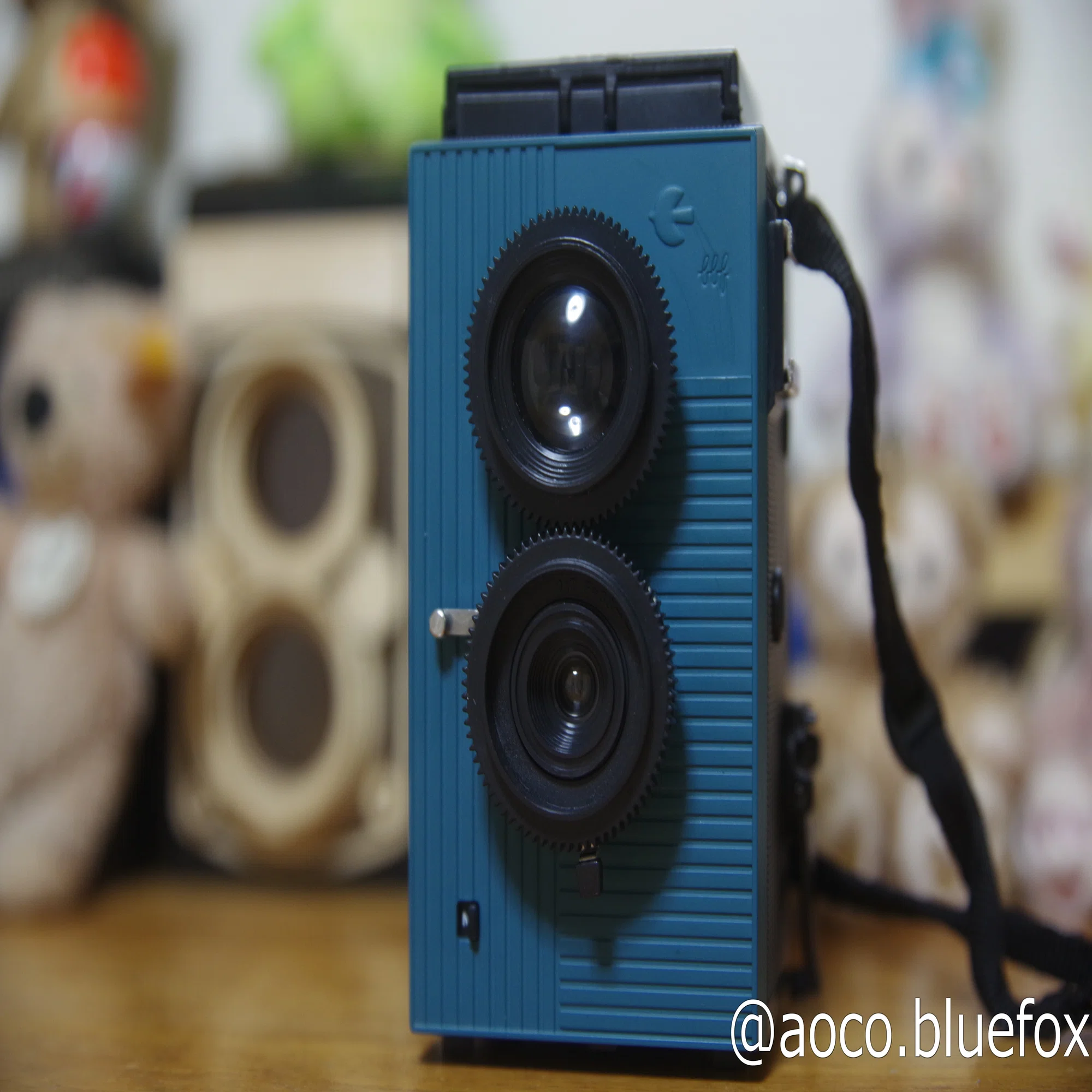 フィルムカメラに思いを馳せて その1:Blackbird,Fly｜青狐