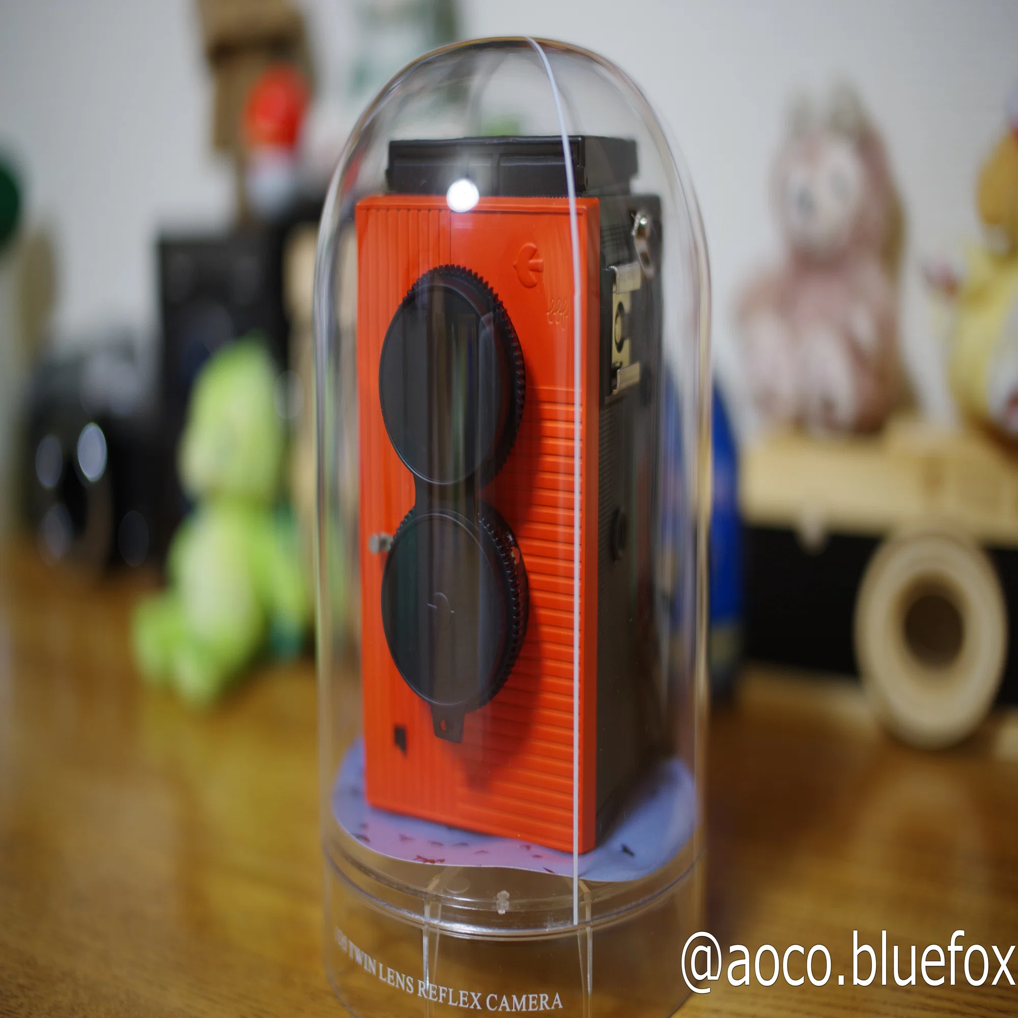 フィルムカメラに思いを馳せて その1:Blackbird,Fly｜青狐