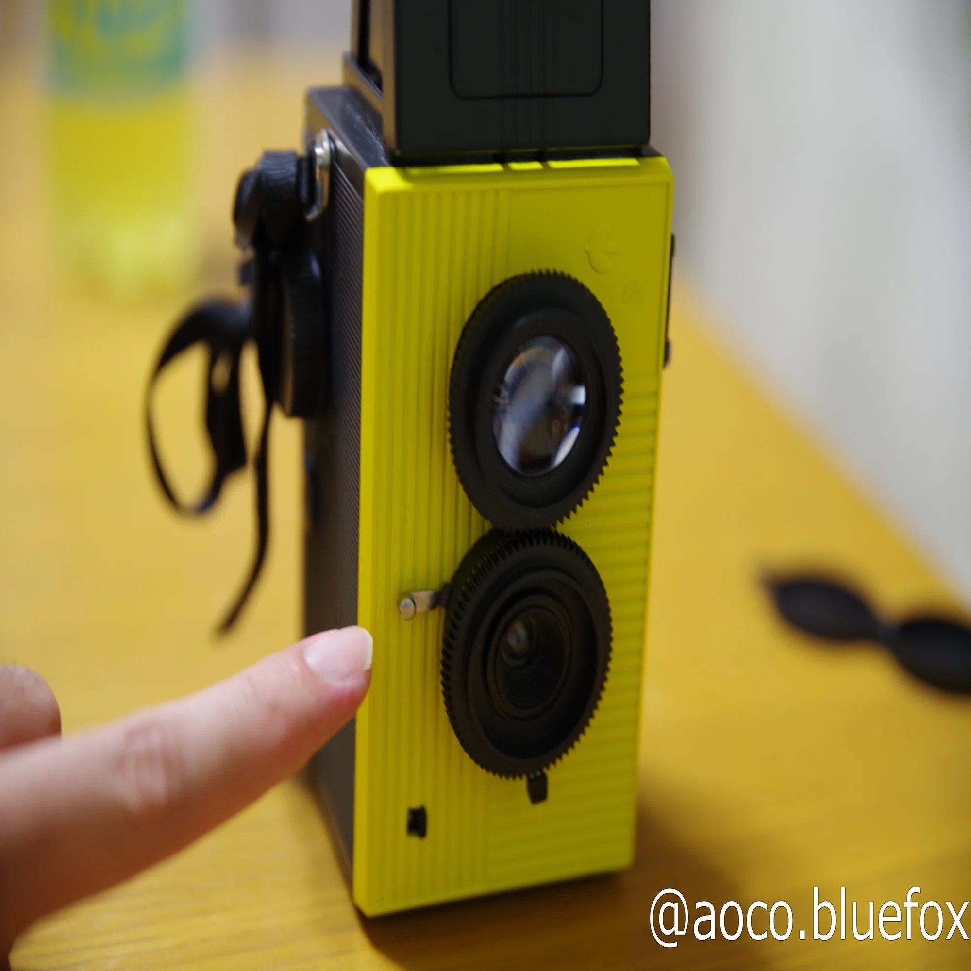 フィルムカメラに思いを馳せて その1:Blackbird,Fly｜青狐