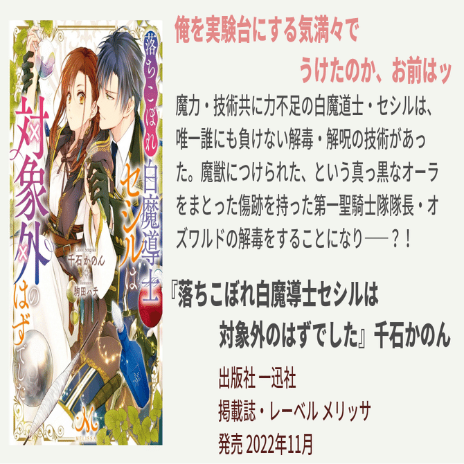 なんで私は……きちんとした白魔導士になれないんでしょーか｜TL小説