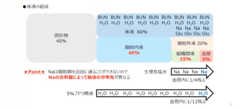 体液の組成