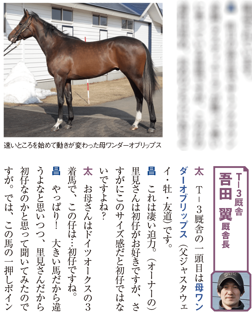 9/23-24】今週の競馬王POG通信｜馬券攻略雑誌『競馬王』