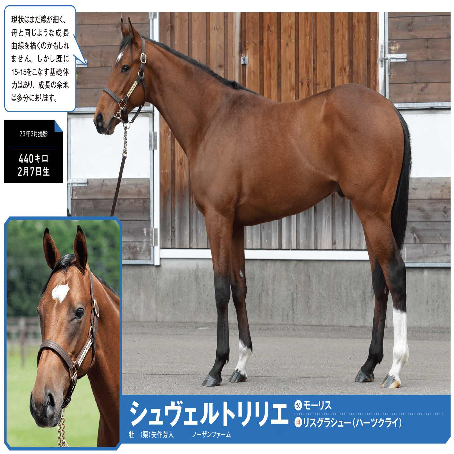 9/23-24】今週の競馬王POG通信｜馬券攻略雑誌『競馬王』