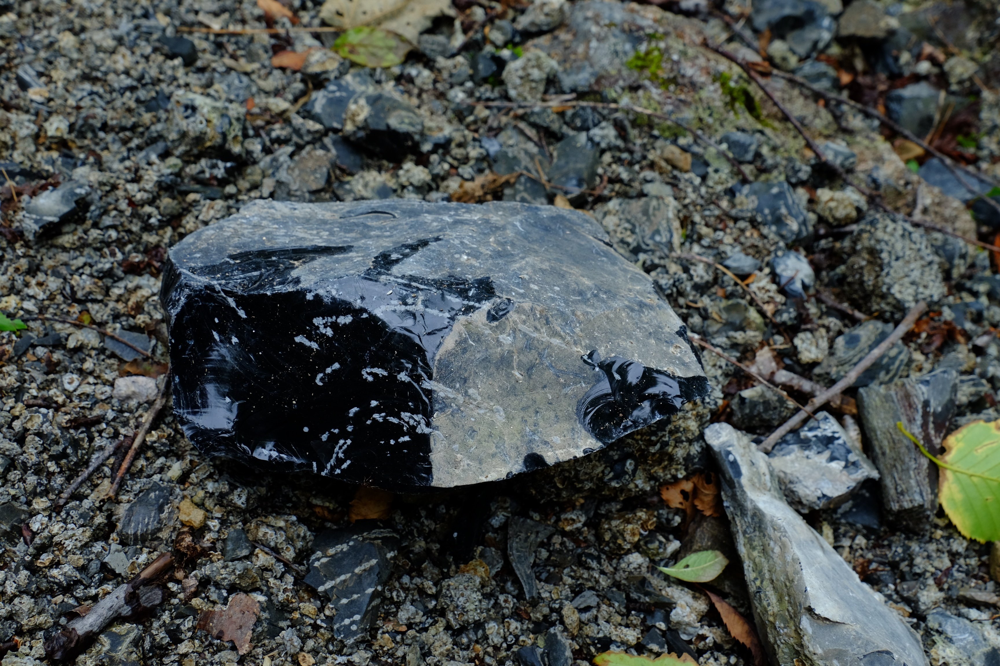 K*様 北海道遠軽町白滝 黒曜石 原石 オブシディアン 十勝石 - メルカリ