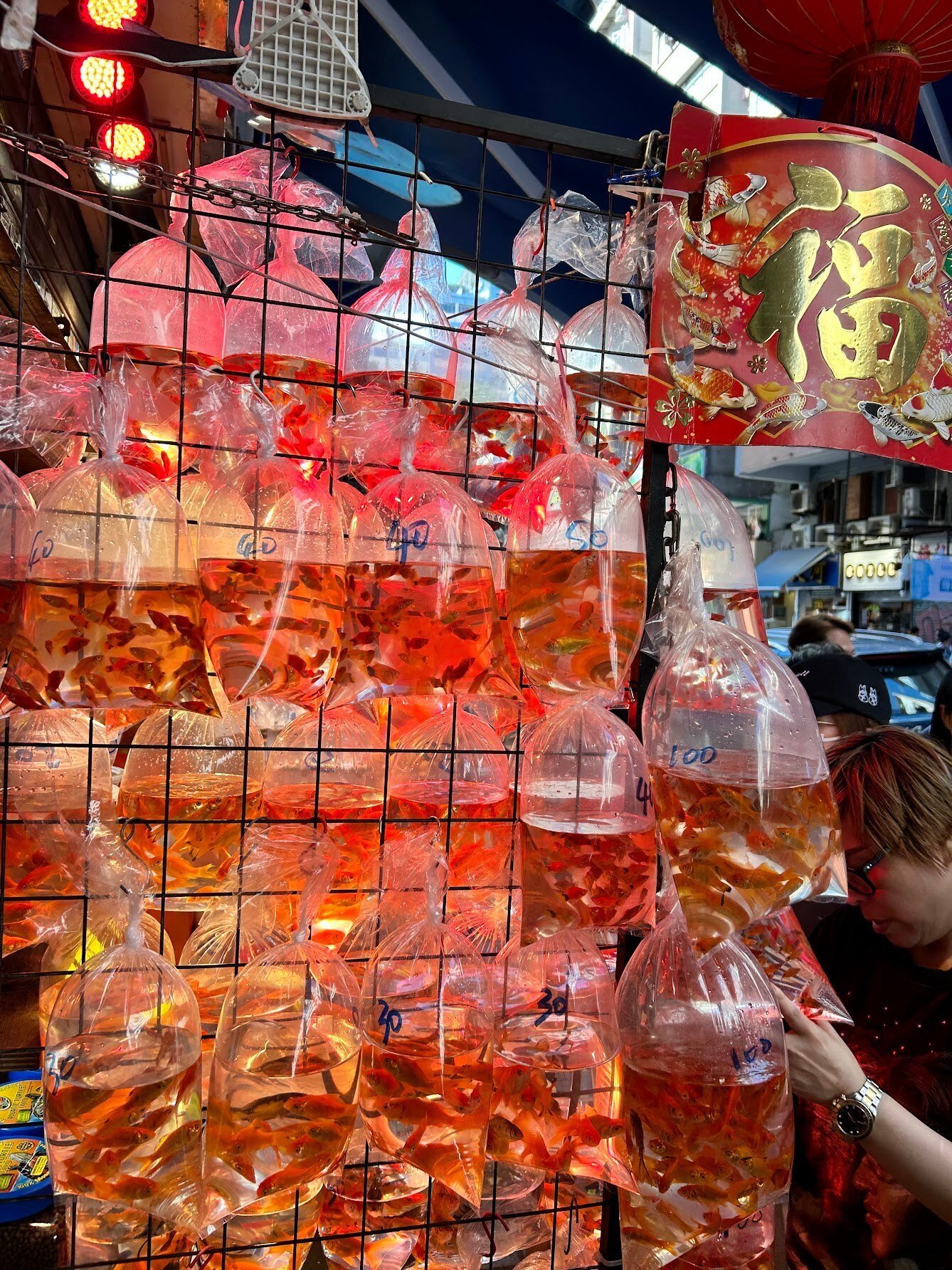 コロナ後の海外はどこへ？香港・マカオへ3週間行ってきました