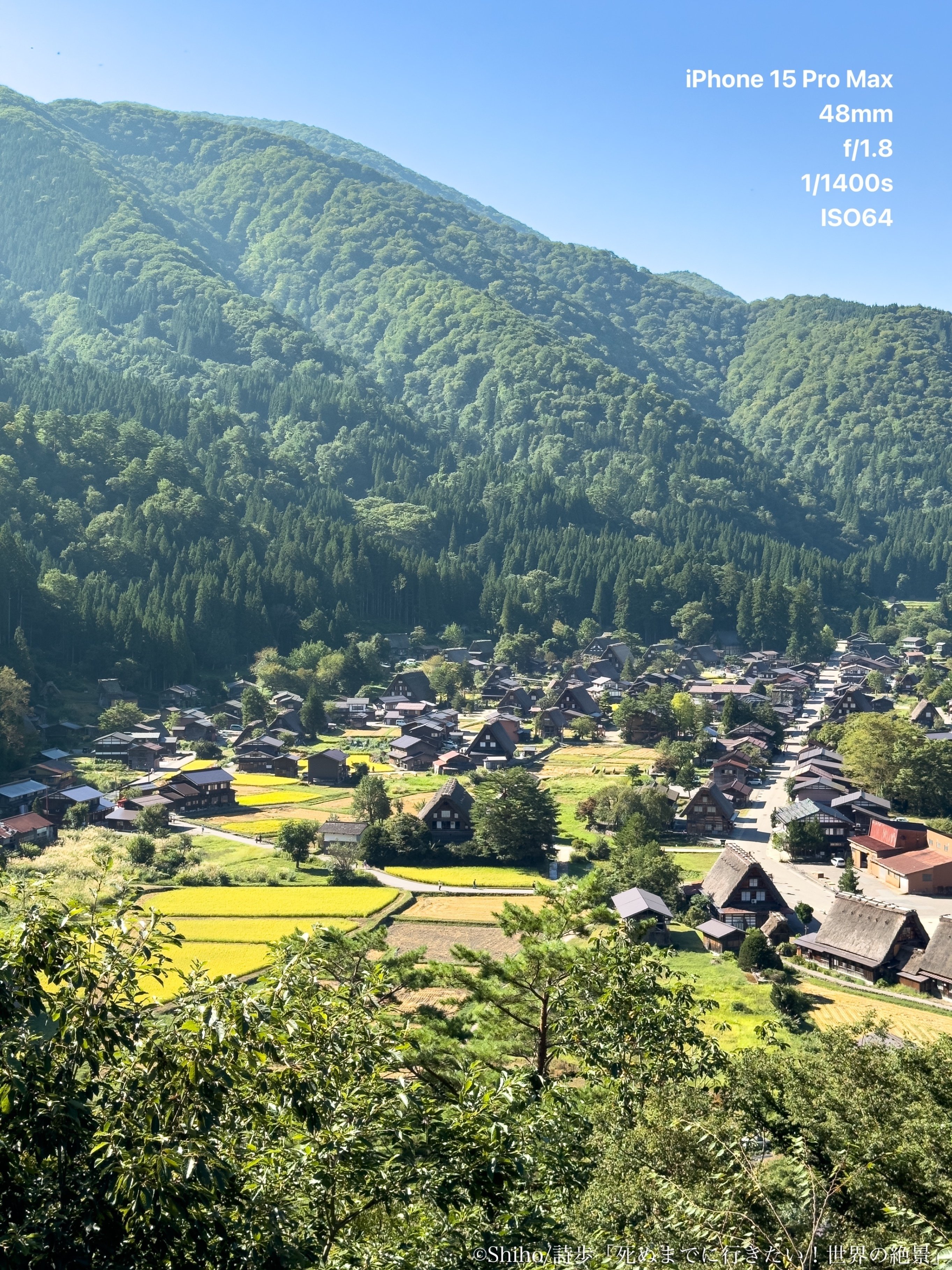 生きる 車椅子から観えるレンズ越しの世界―雨宮正和写真集 鈴木雅之 / ガラス越しに消えた夏 | sixteen records (シックス