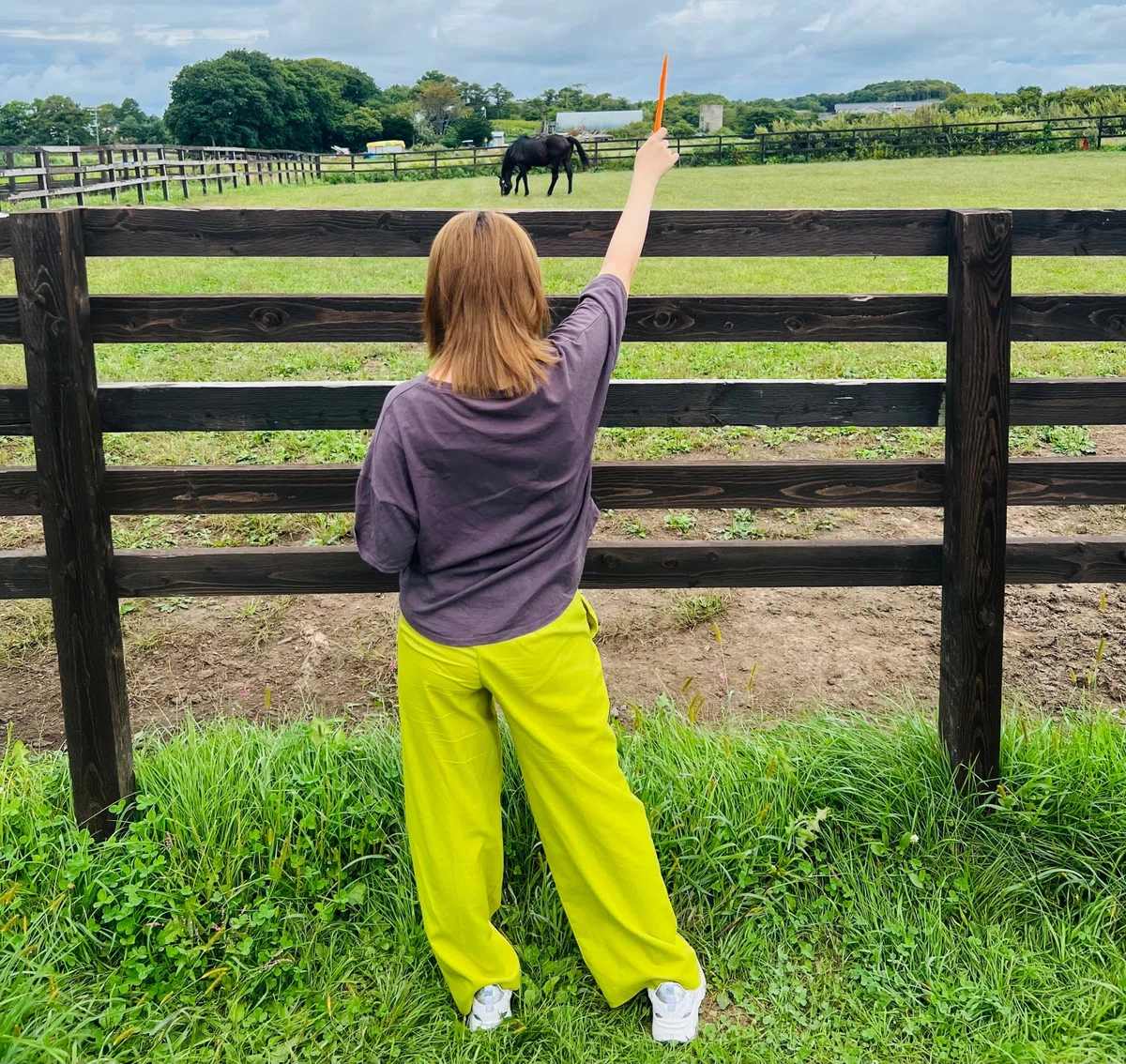 【日高観光】 The plural of horse is horse !? 観光客と地元住民で異なる目線~Part1~｜yasuの帝王👑 ...