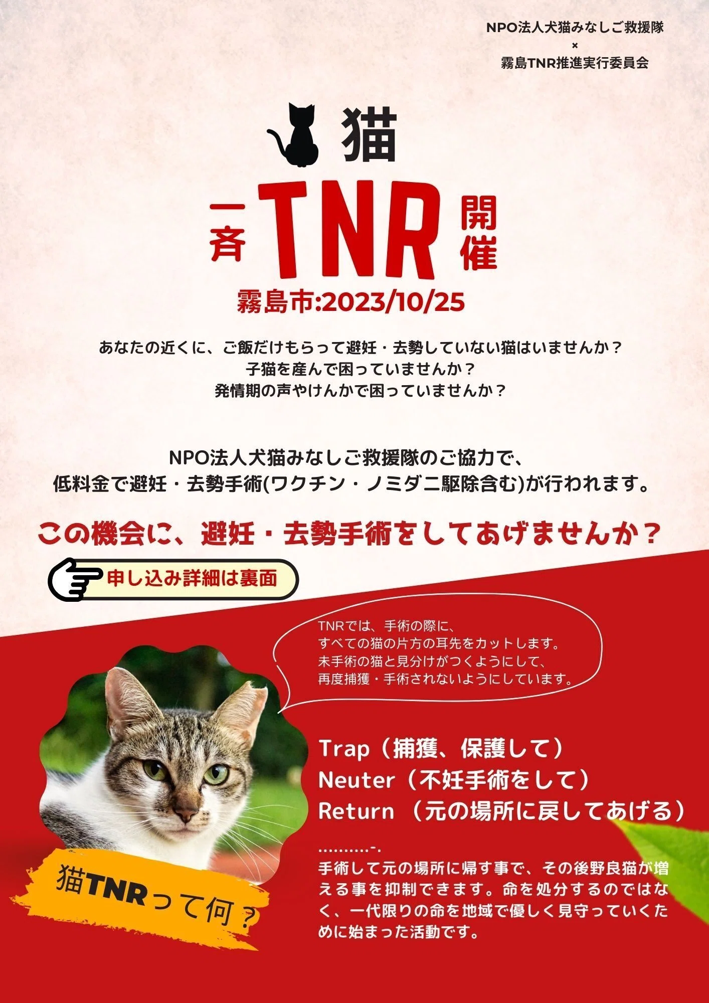 霧島市初の一斉TNR準備中】｜霧島市議会 副議長 山口ひとみ