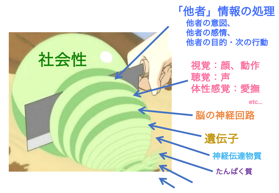 発達障害の社会コミュニケーション困難とは｜Takeshi Atsumi