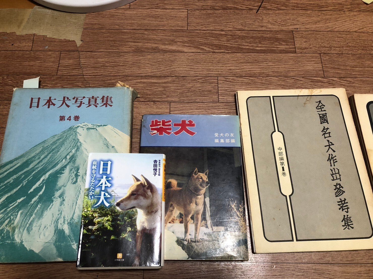 バイヤー厳選用品 柴犬の話 天然記念物の犬と過ごした日々｜（花鳥風月）ikesan 趣味・スポーツ・実用