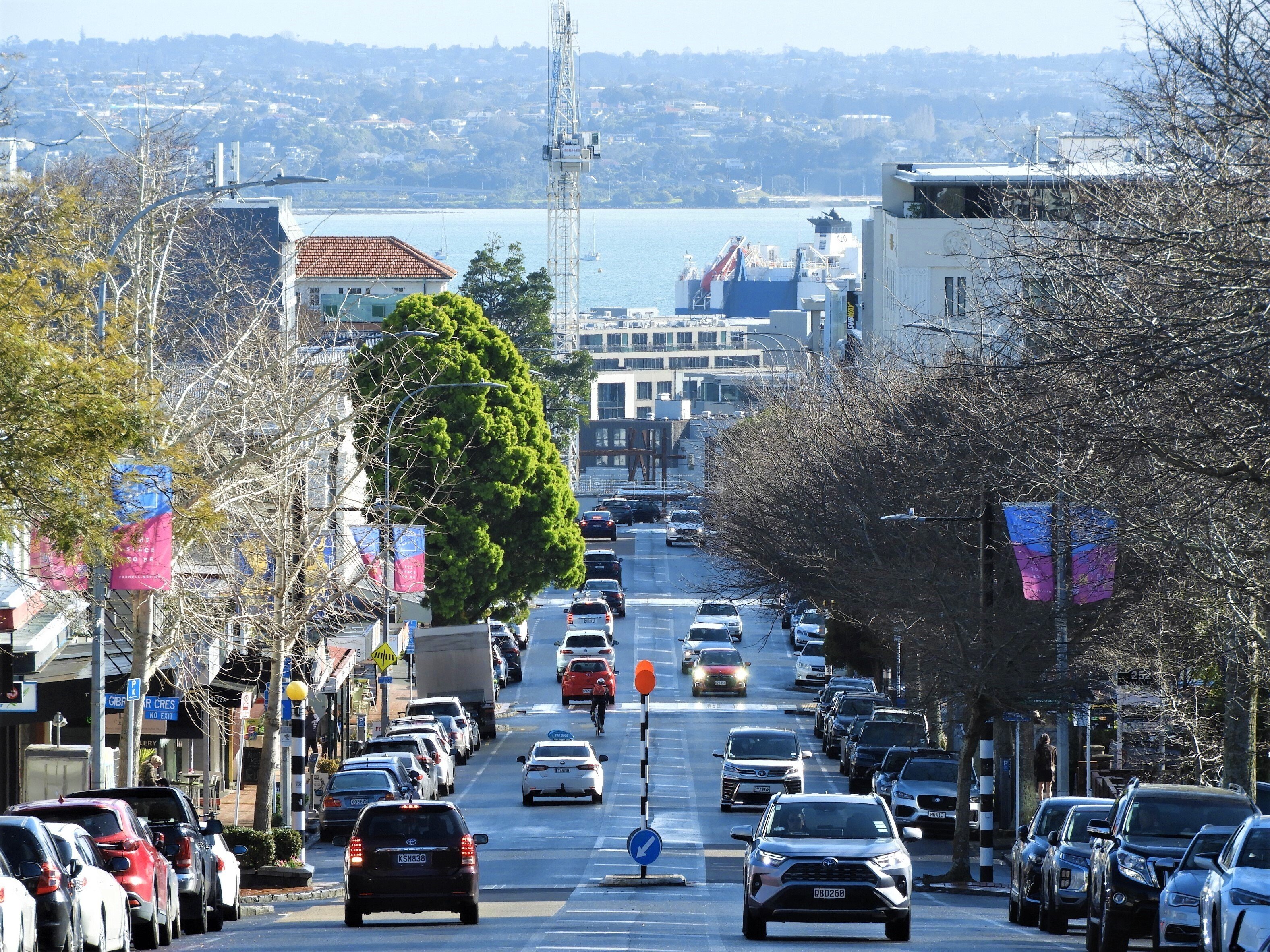 多様なるニュージーランド ：NZ北島編｜浅地亮の自転車旅で見る世界