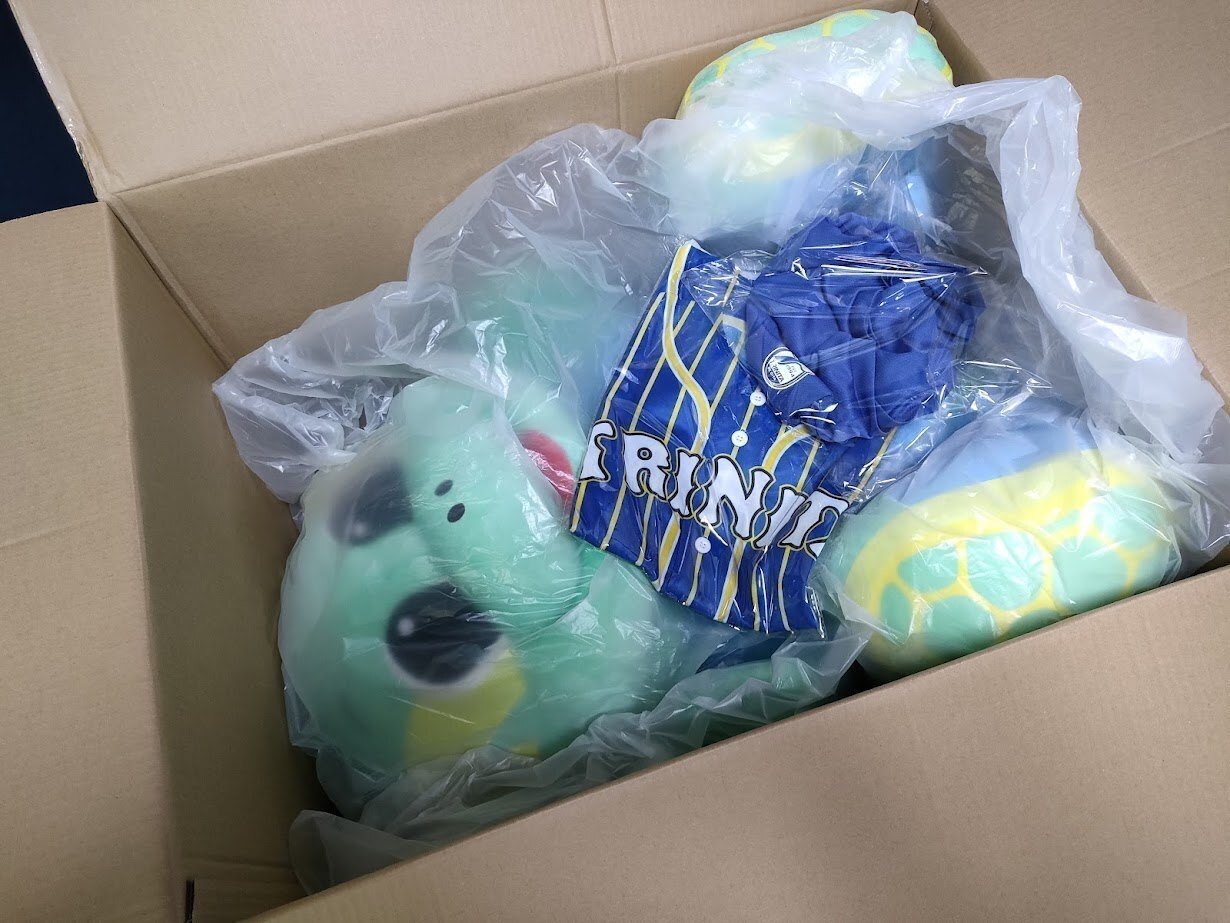 圧倒的ニータンを里帰りさせる｜Jリーグマスコットのことばかり考える