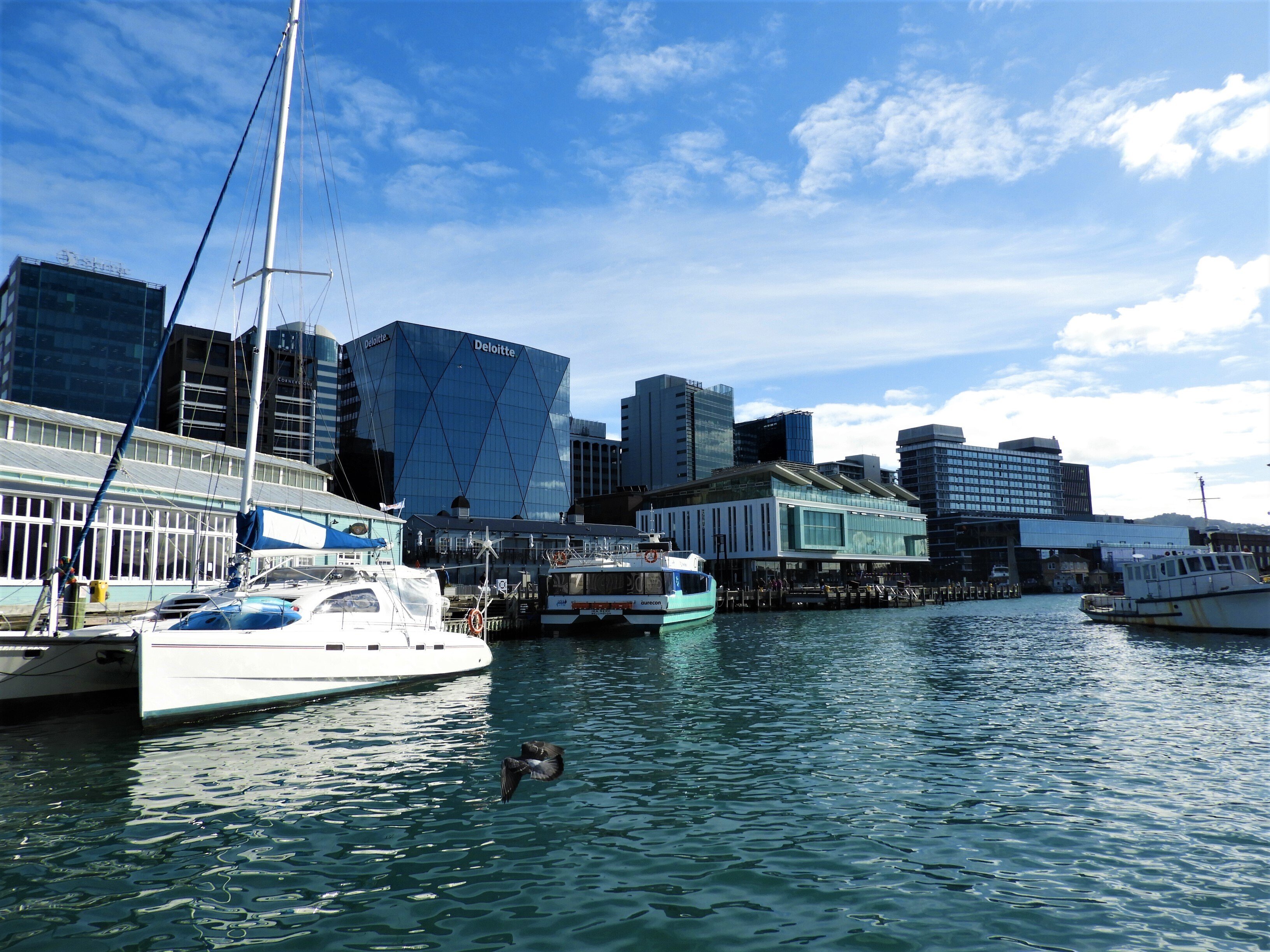 多様なるニュージーランド ：NZ北島編｜浅地亮の自転車旅で見る世界