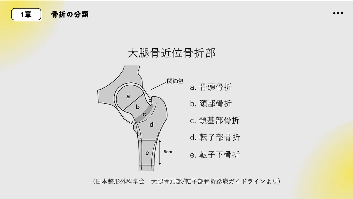 股関節疾患を担当したら、まず読むnote｜じんた@理学療法士