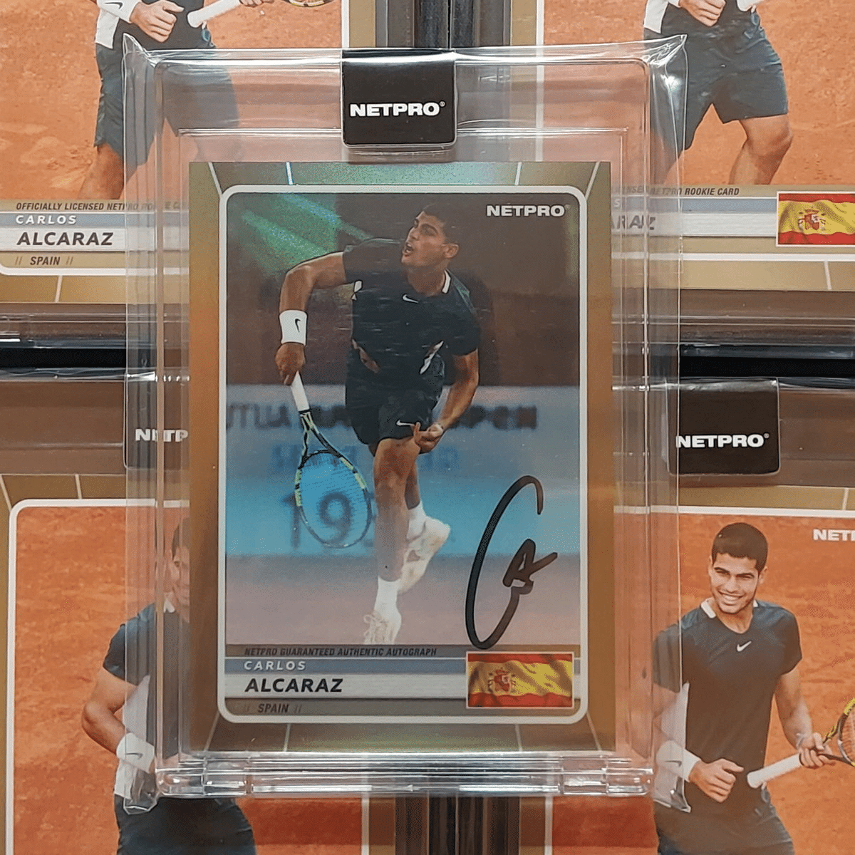 2003 NETPRO ALL STAR セリーナ・ウィリアムズ ルーキーカード