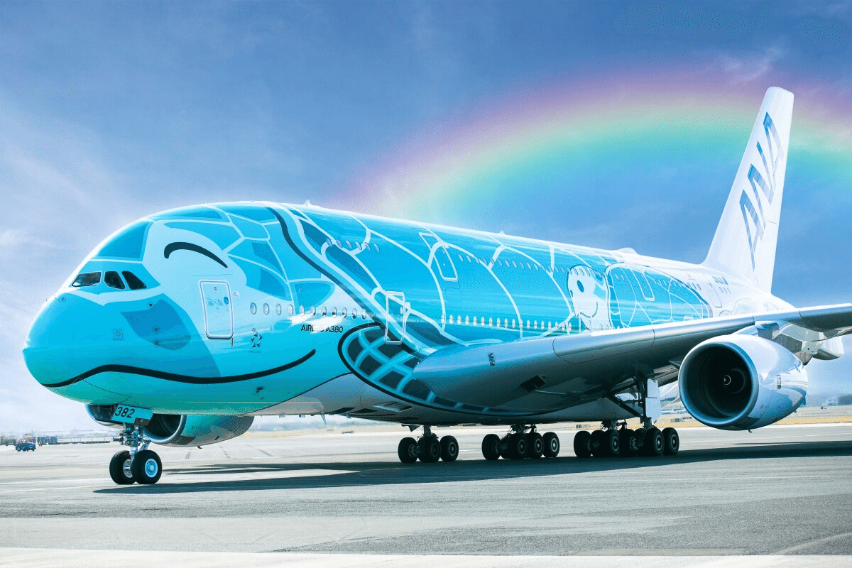 成田空港で見られる空飛ぶウミガメ『フライングホヌ』とは🐢｜ハチロー