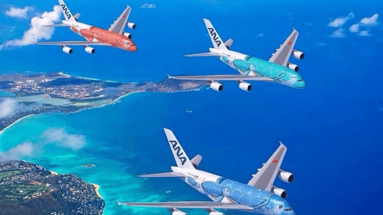 発光Prem.ver 8/15着 ／Airbus フライングホヌ 1/150 発光Prem.ver 8