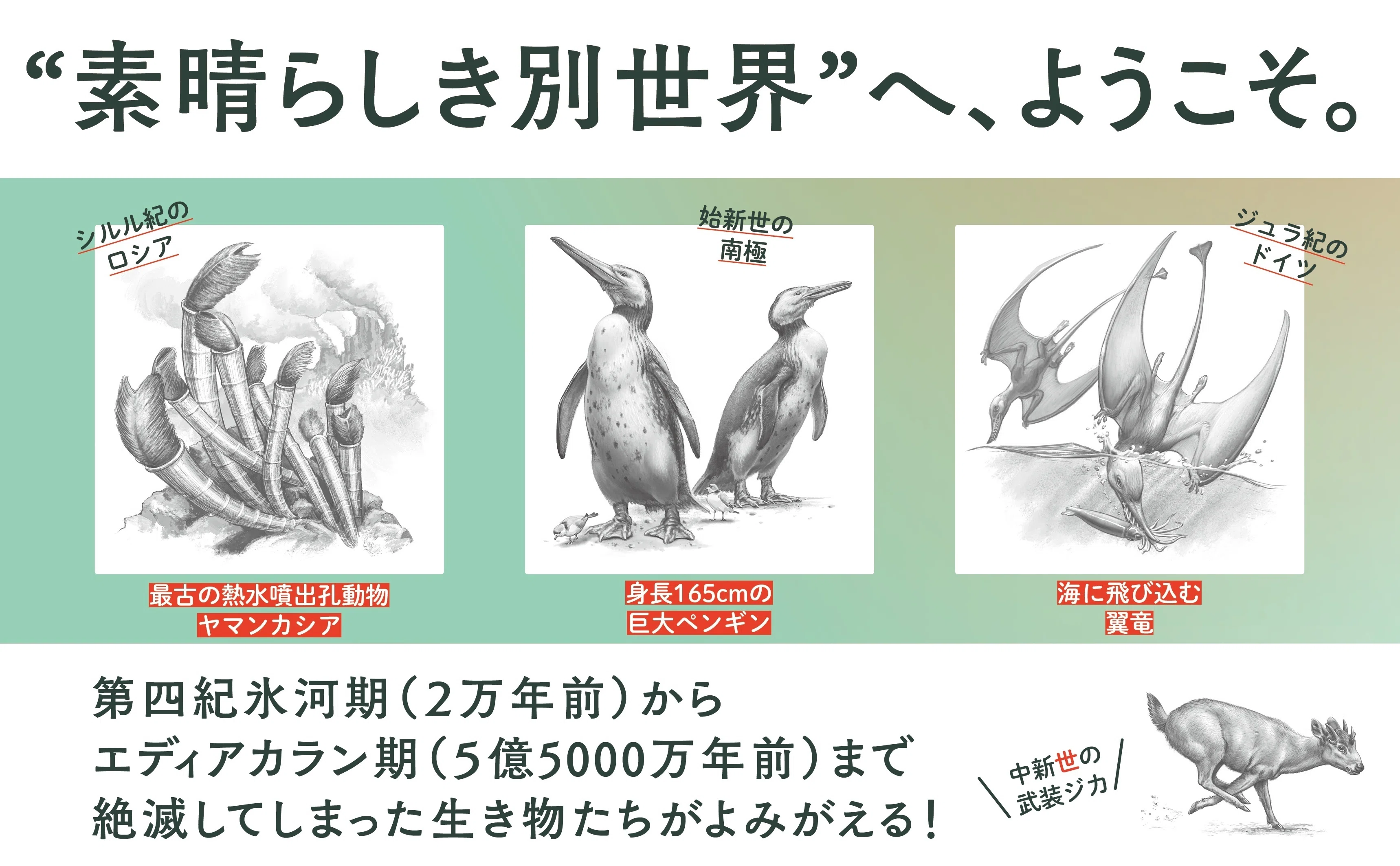 1695350502045-gpXHRXdAml.jpg