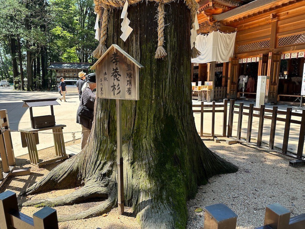 篠ノ井線と大糸線で18きっぷ日帰り一人旅｜tomoko