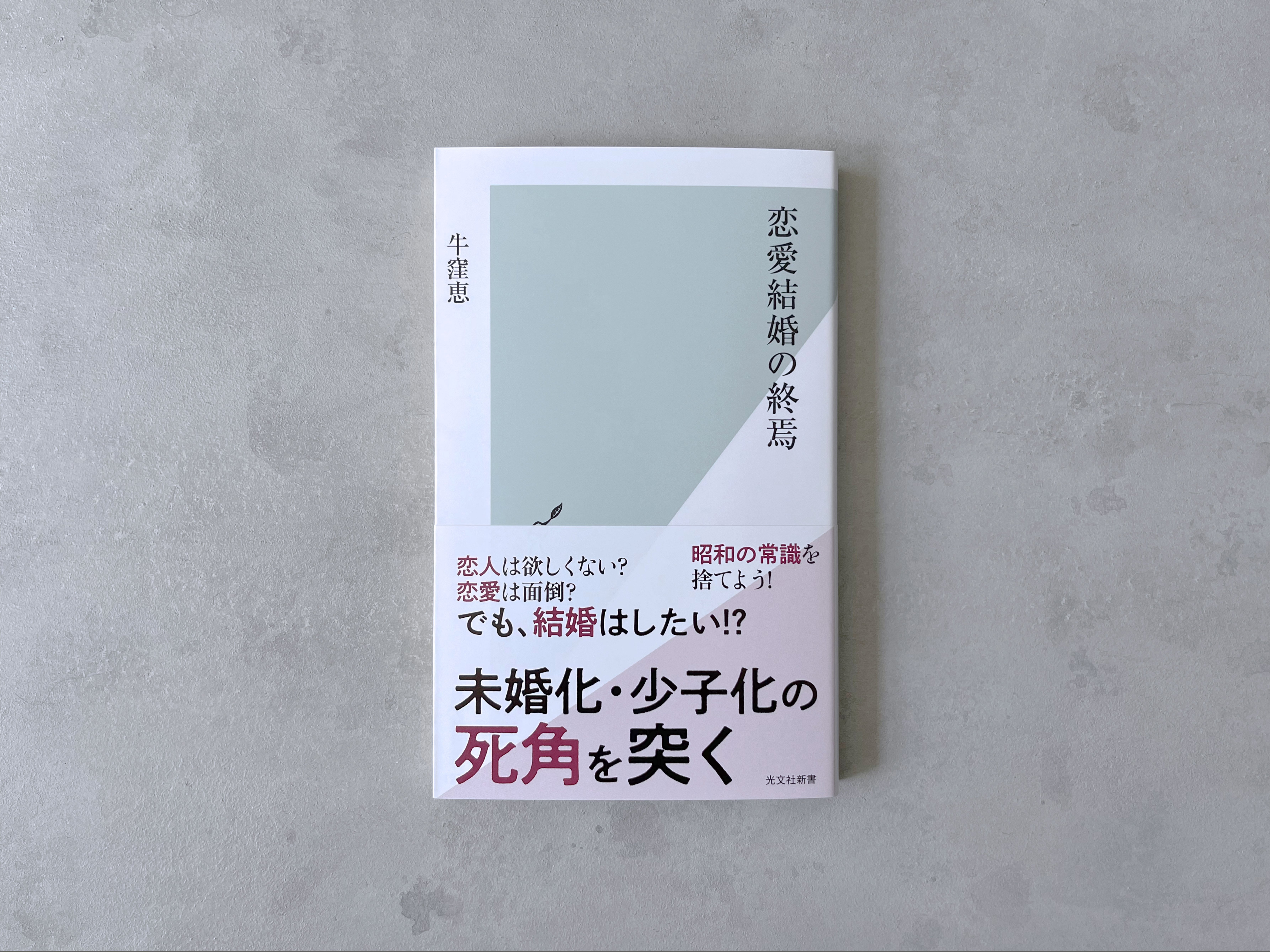 光文社 - あなたは誤解されている 異文化間の理解と誤解 – Polite Fictions | 学術図書出版 金星堂