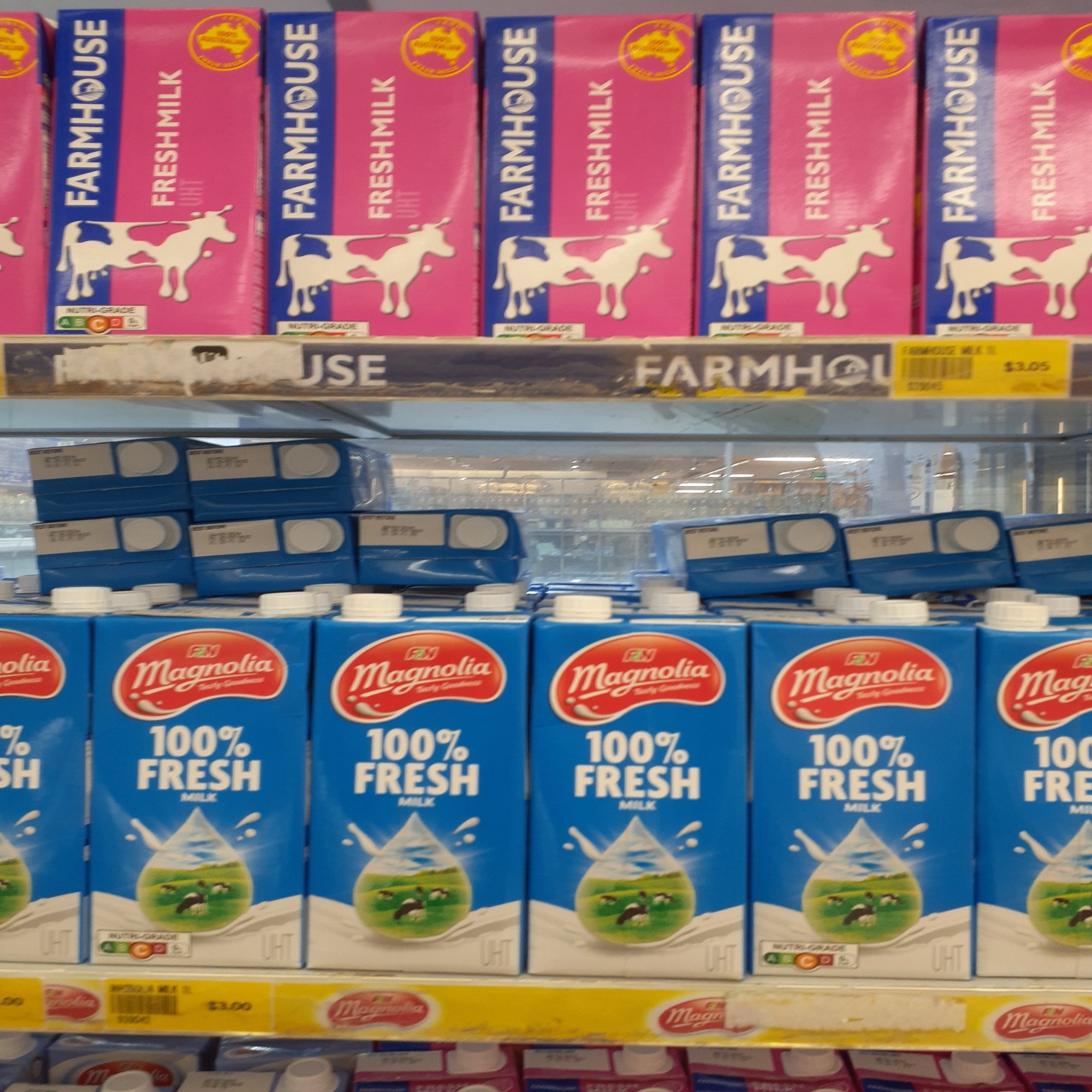 シンガポールの物価】日本とくらべて実際どうなの？＠ムスタファセンター編｜もち