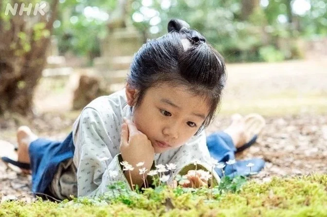 劇中写真:バイカオウレンを見つめる少年時代の万太郎