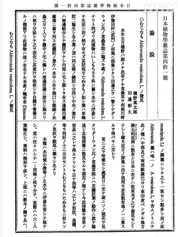 万太郎が修正した後の「日本植物学雑誌」