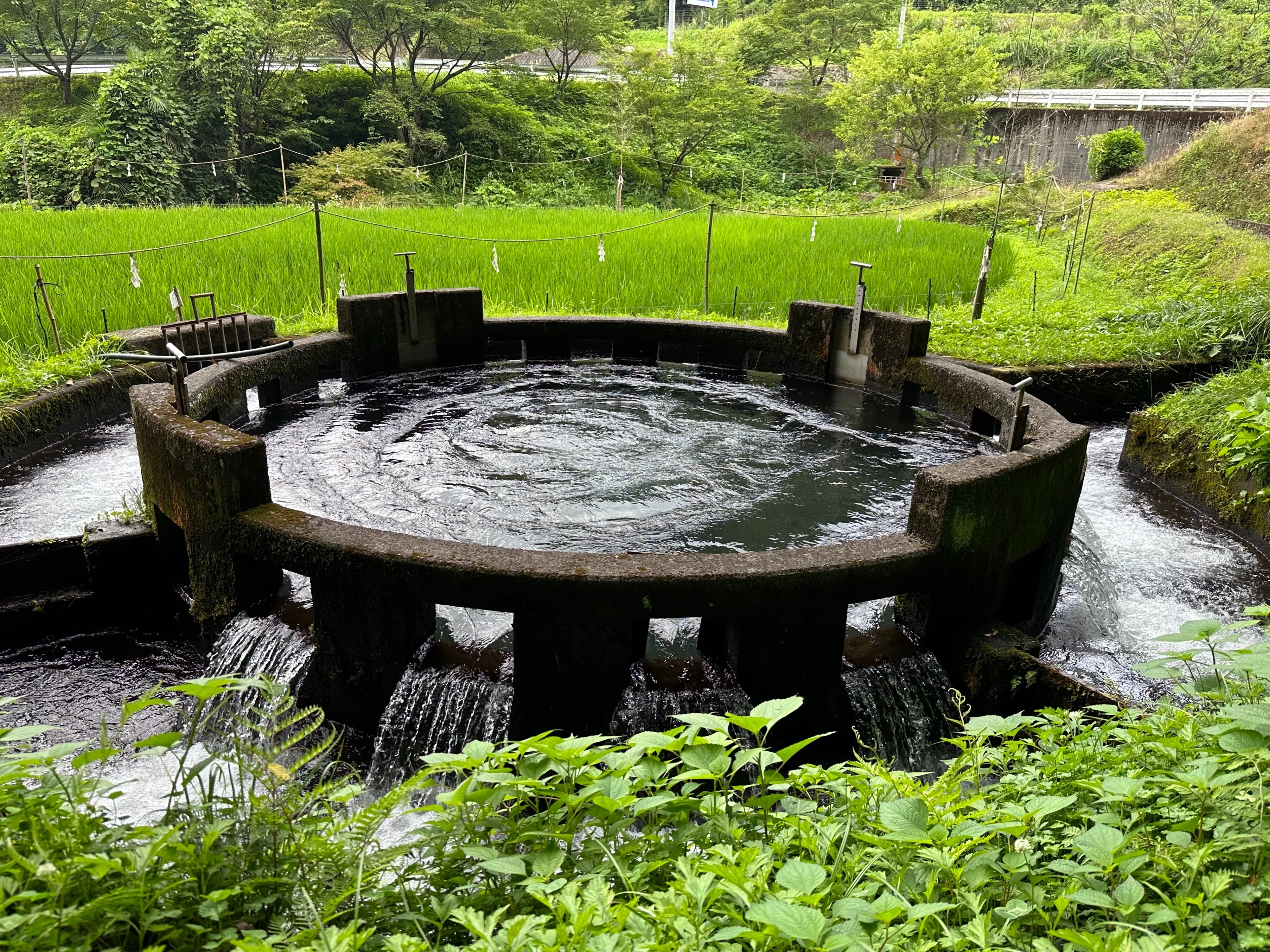 水の風景を越え広大な景色を目指して｜sanchi