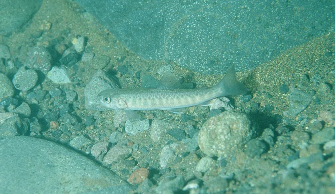 すべてのはじまり｜仙台うみの杜水族館