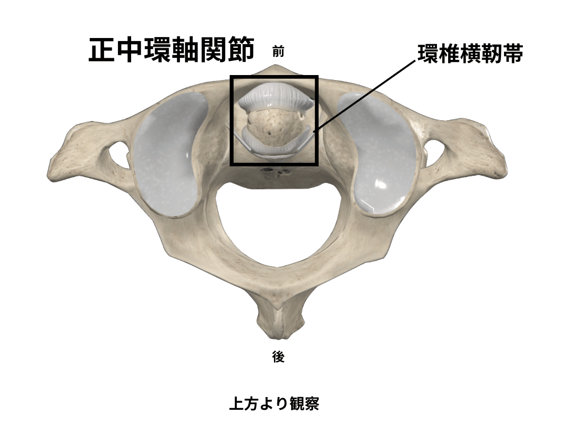 頭頸部の理解と臨床評価・アプローチ【サブスク】｜理学療法士