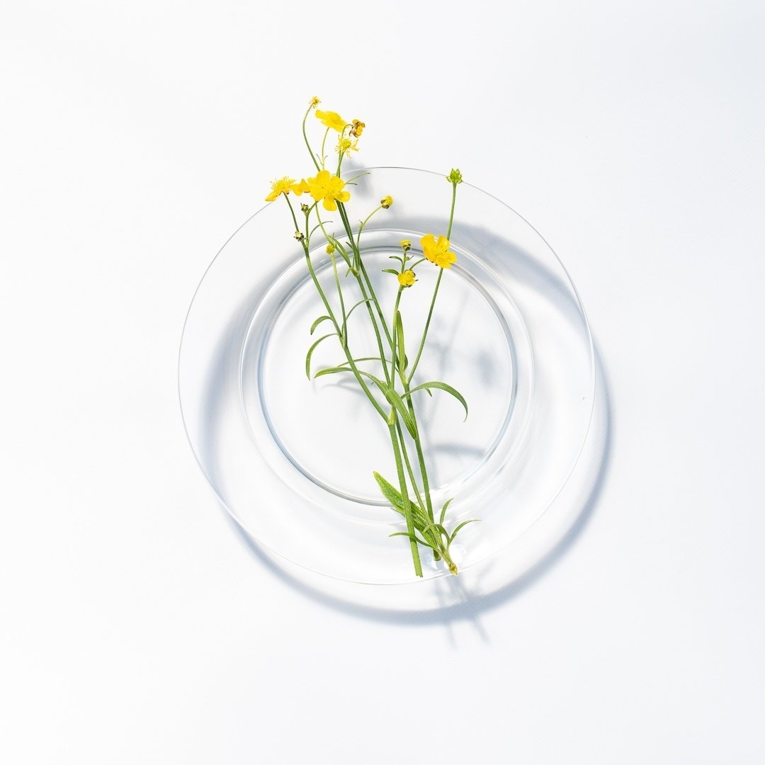 Design&Art｜Colors in Finland 〈03.イエロー〉｜LAPUAN KANKURIT 表参道