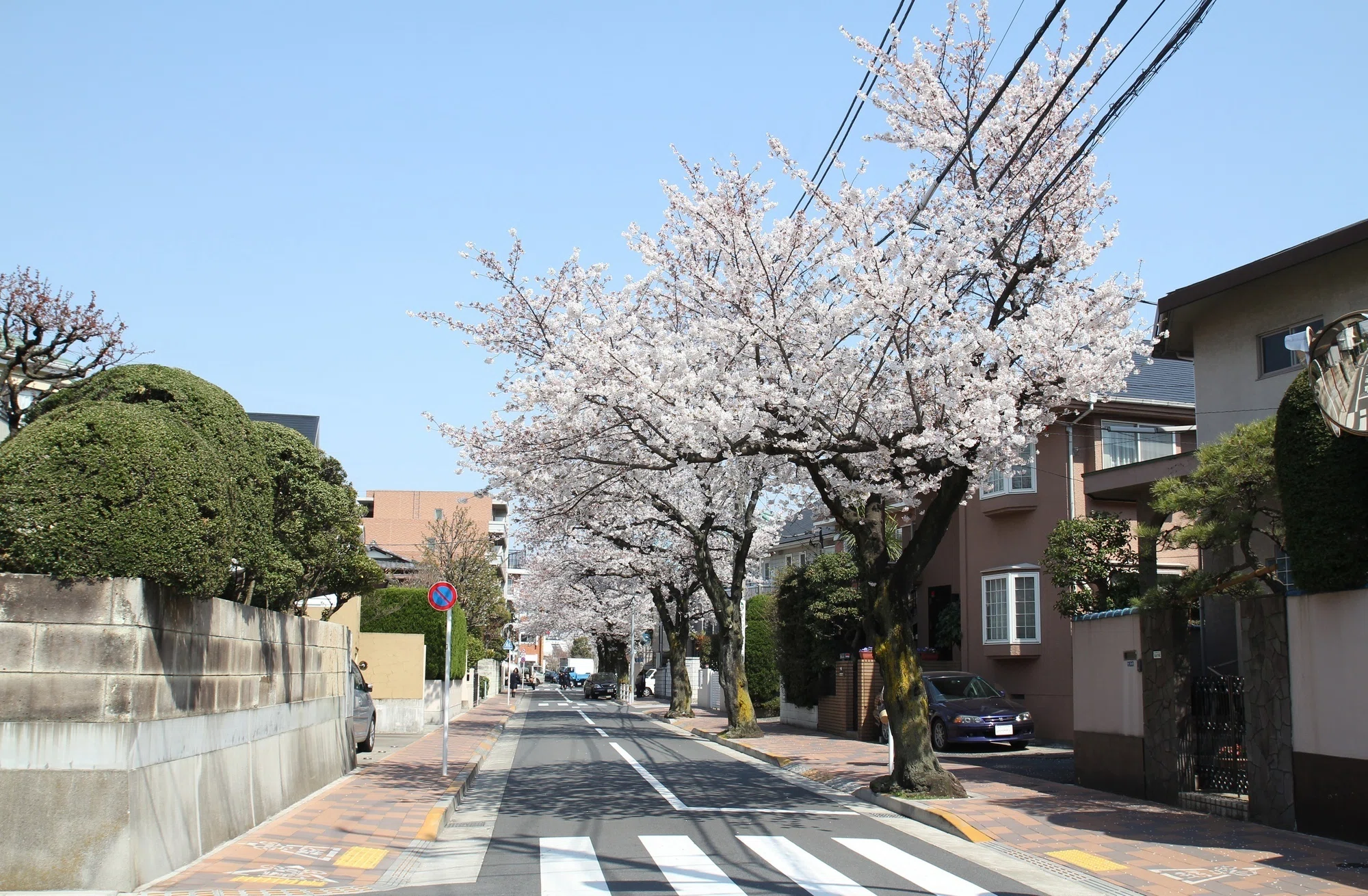 Den-en Chofu Futaba Elementary School Attached Kindergarten: Parent ...
