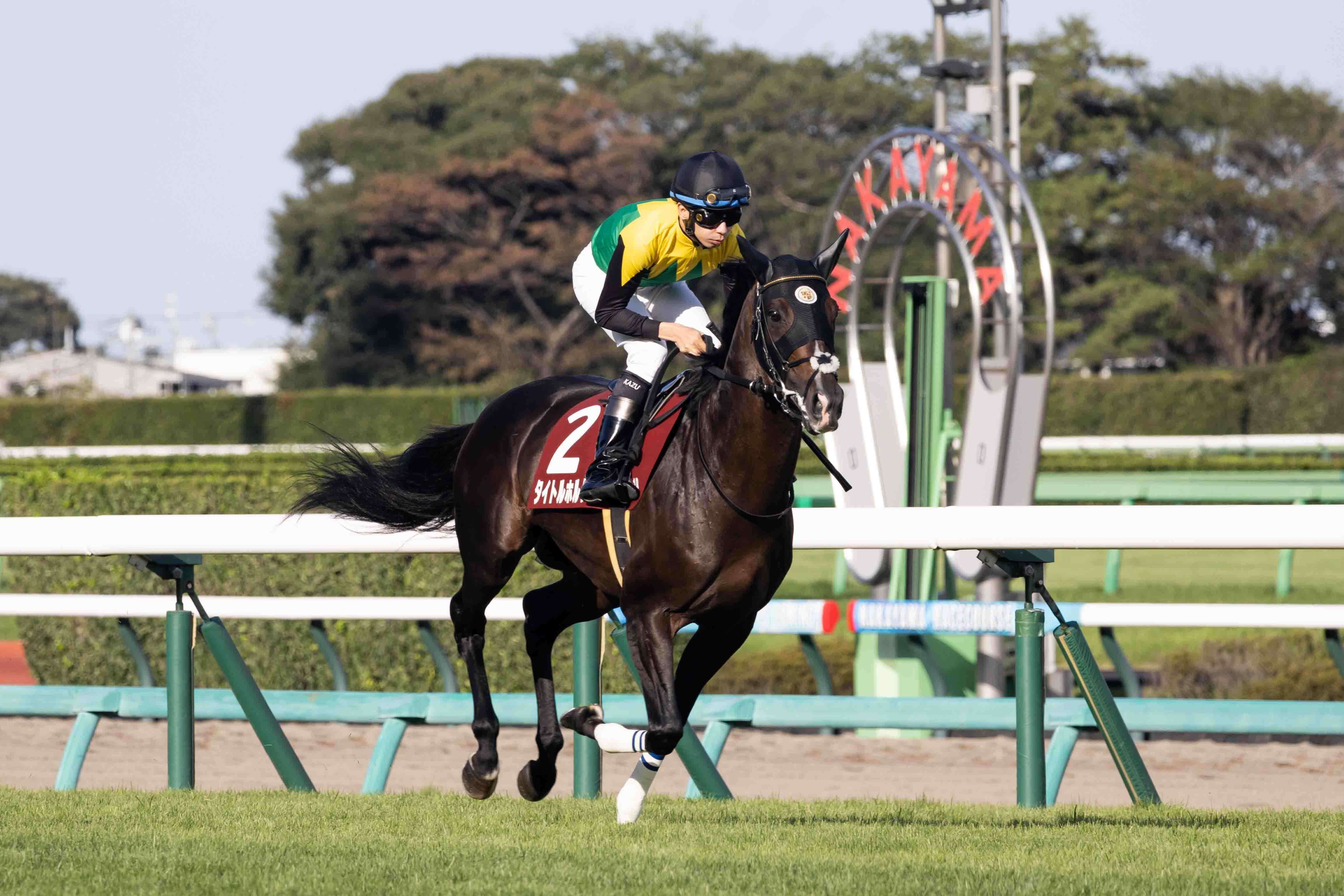 ✨スポーツ観戦におすすめ✨Canon EOS 40D✨ダブルレンズ✨高速撮影 ✨