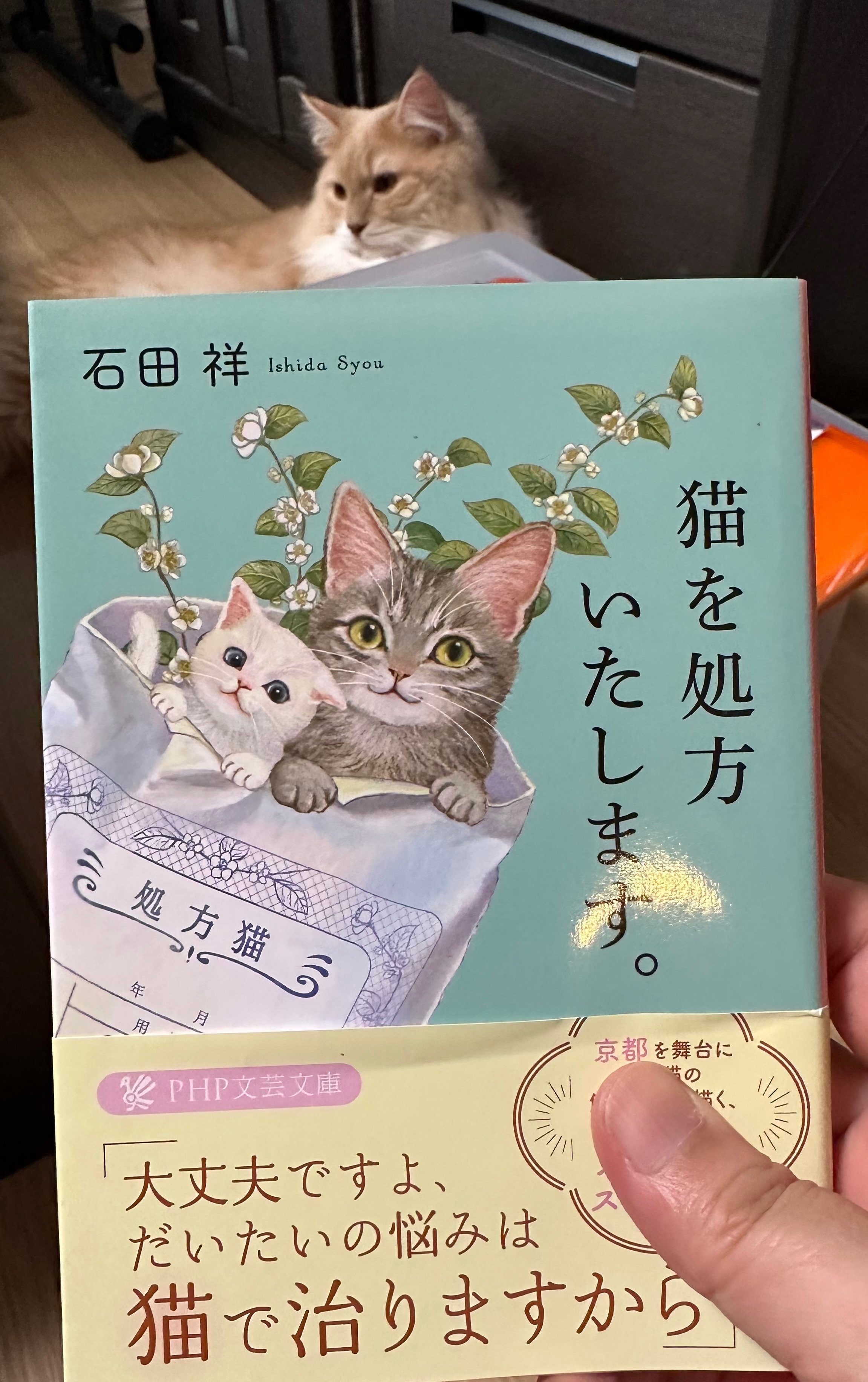読みました。「猫を処方いたします。」石田 祥｜あつぽん