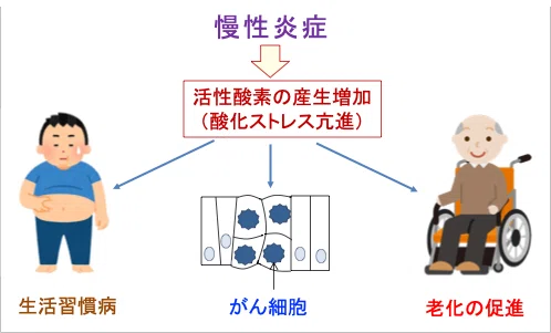 137）慢性炎症は寿命を短縮する｜福田 一典｜銀座東京クリニック