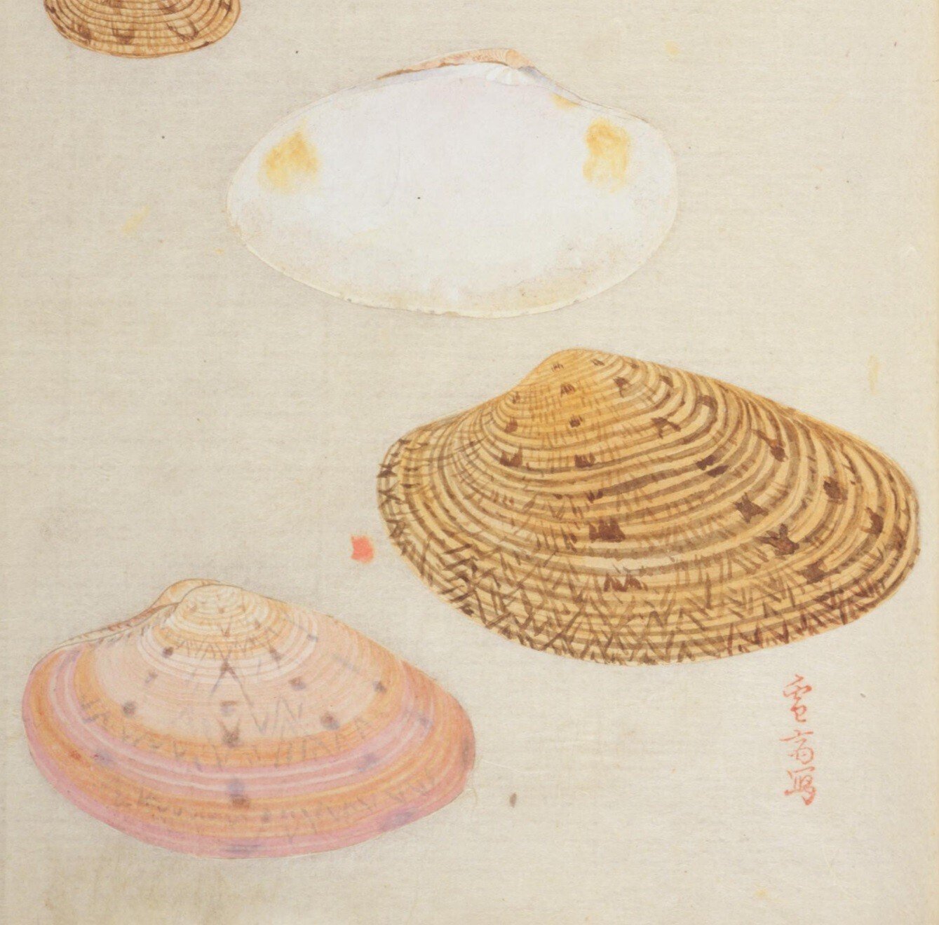 貝で描いた絵 仙鶴 工芸品