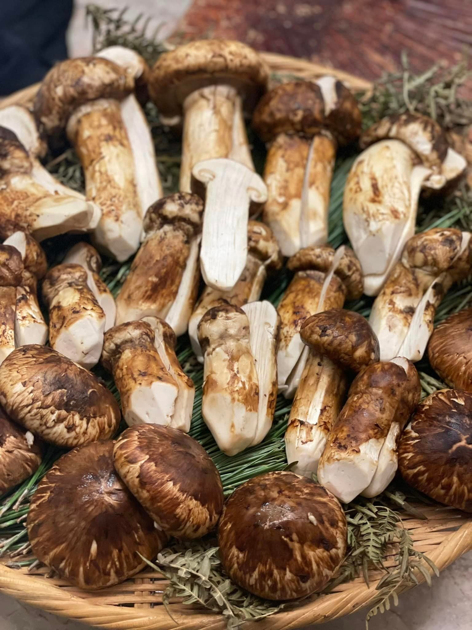 クレイジー松茸会！｜雅食倶楽部spoona