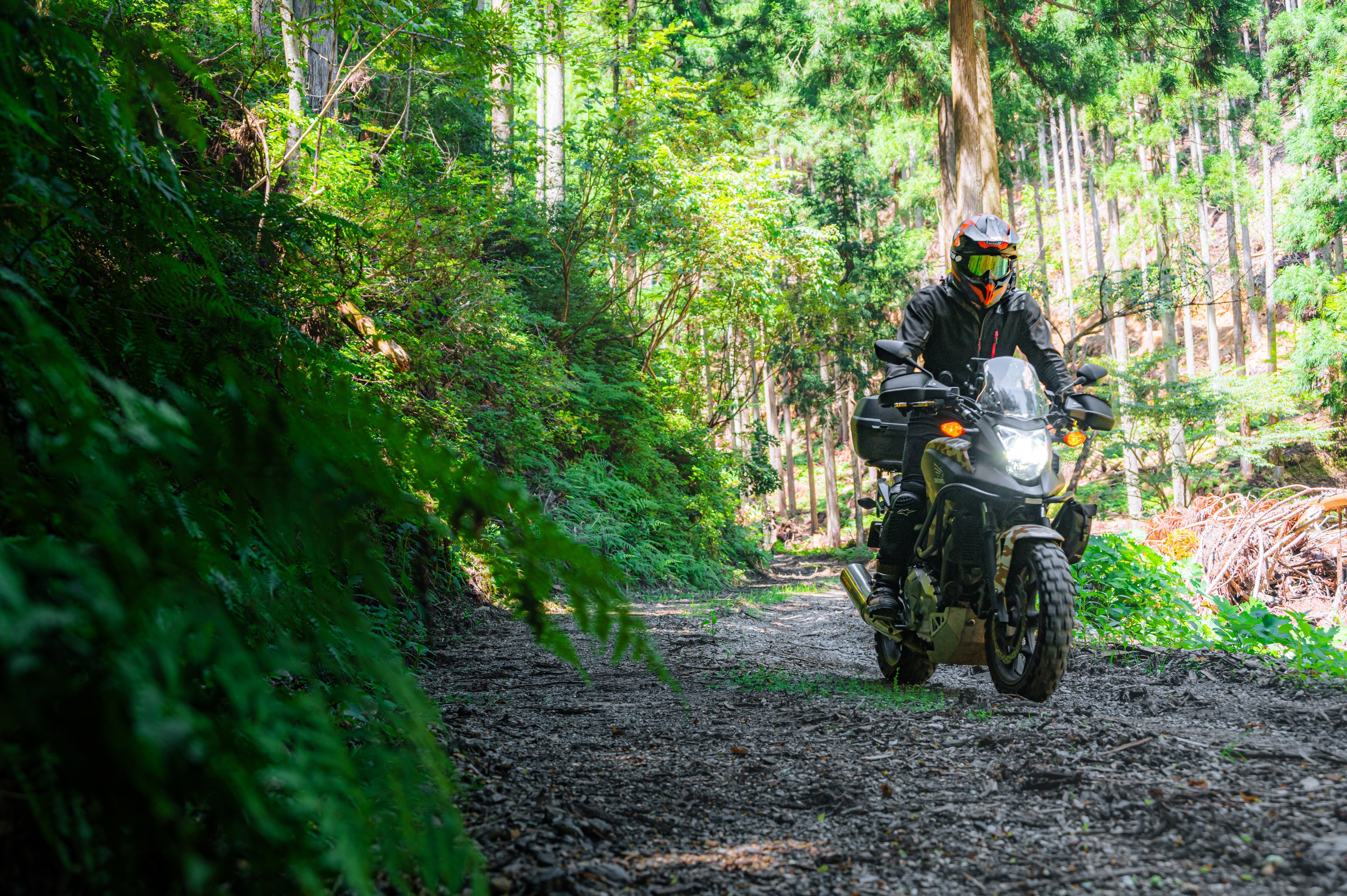 スタッフ自己紹介～ 店長の久保です！｜アドベンチャーレオ