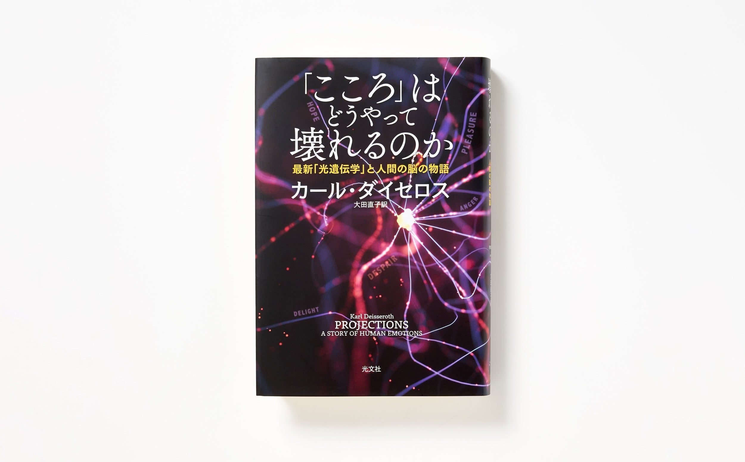 こころ」はどうやって壊れるのか』｜馬場紀衣の読書の森 vol.27
