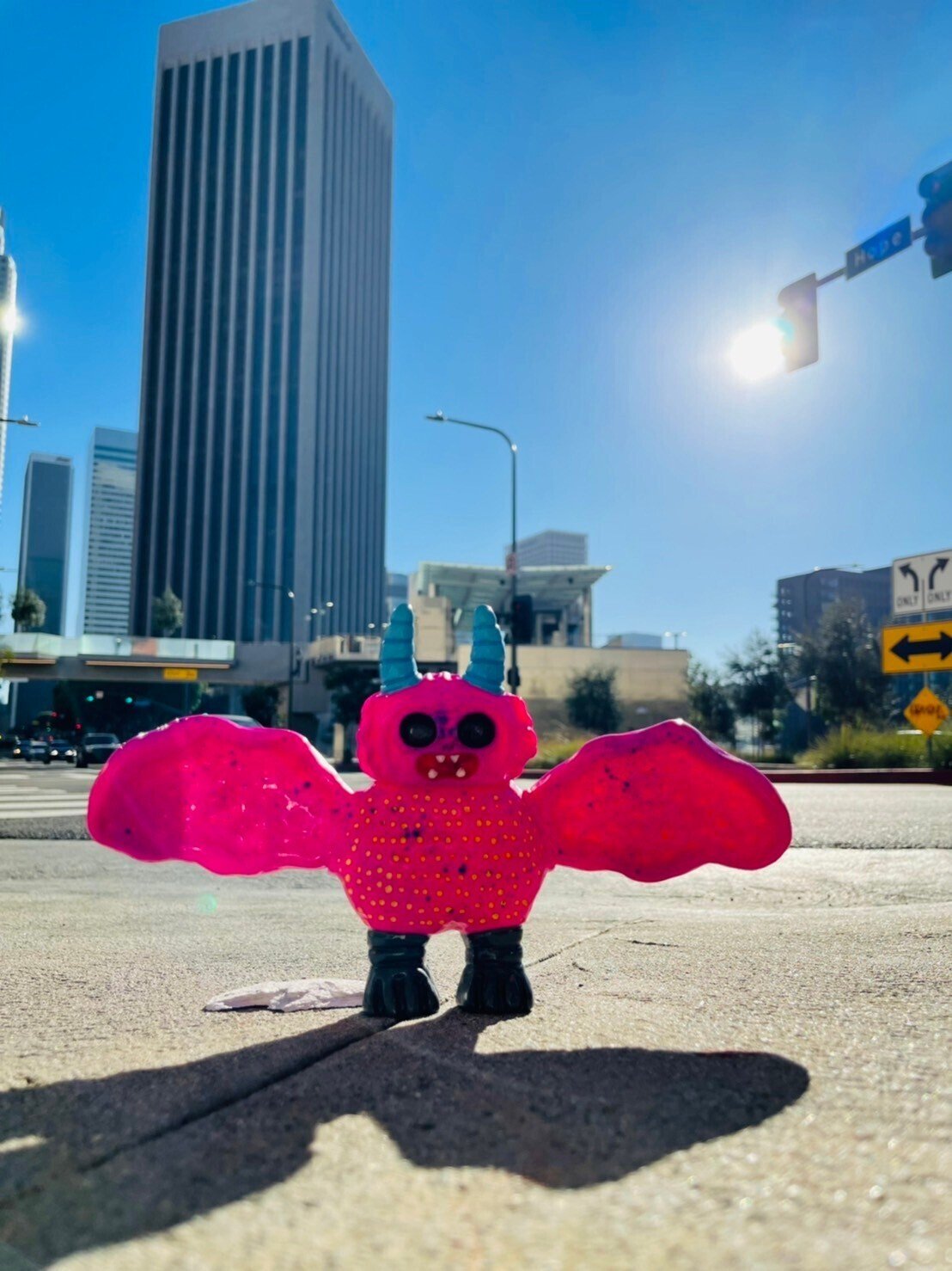 アップリンク京都】にて『となりのUMAランド 写真でみる未確認 アップリンク京都】にて『となりのUMAランド 写真でみる未確認