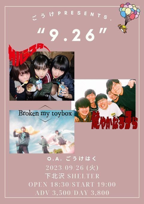 サバシスター ラババン7個セット サバシスター ラババン サバシスター