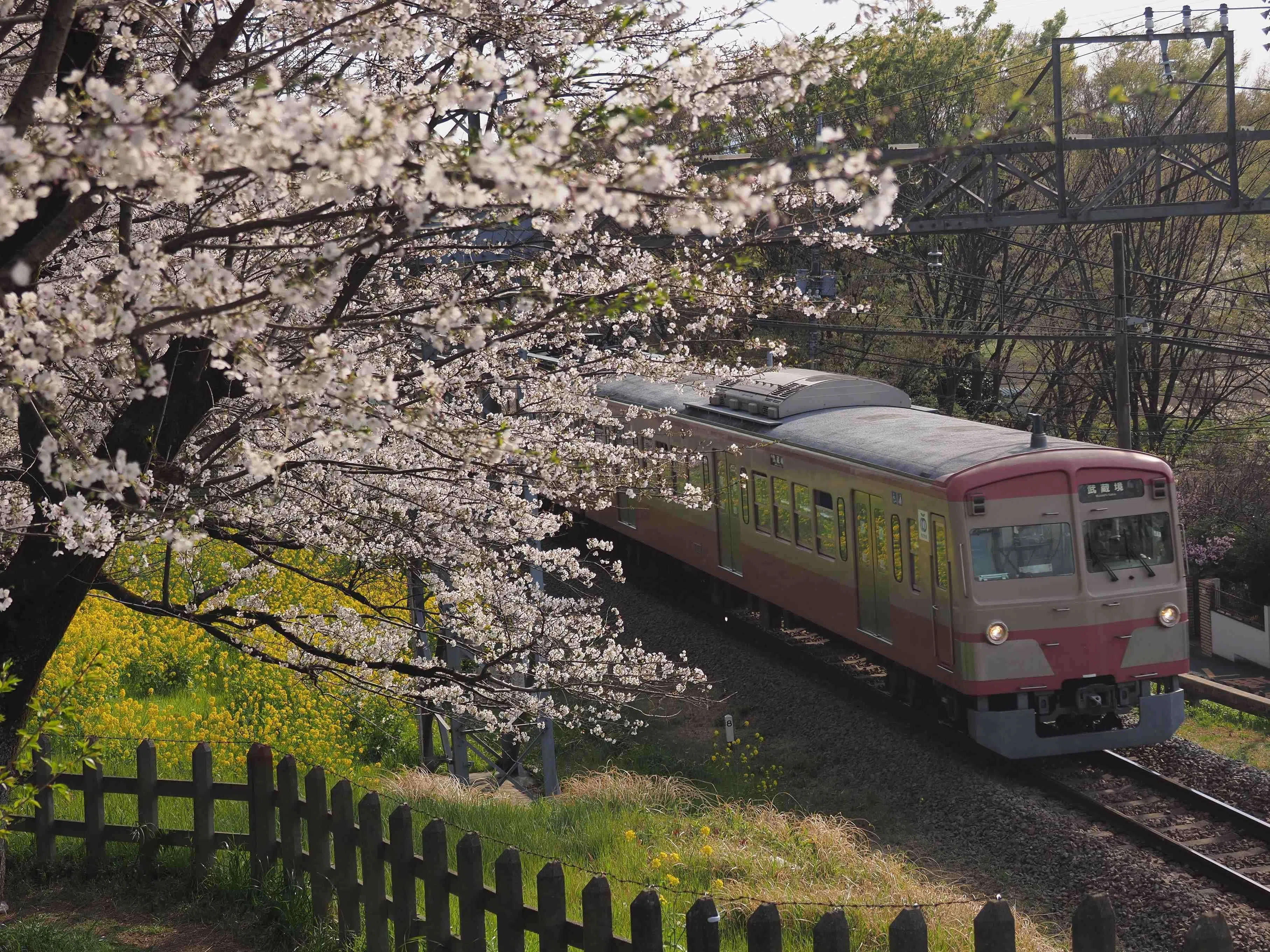 連載＞OMと旅する鉄道情景（第6回/神谷 武志）GROUP K.T.R｜OM SYSTEM RAIL